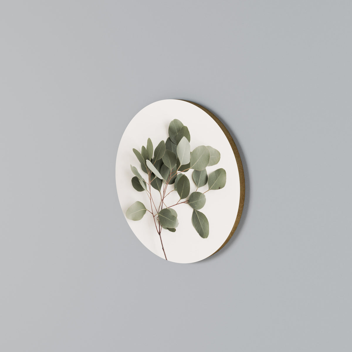 EUCALYPTUS BRANCH Rundes Wandbild