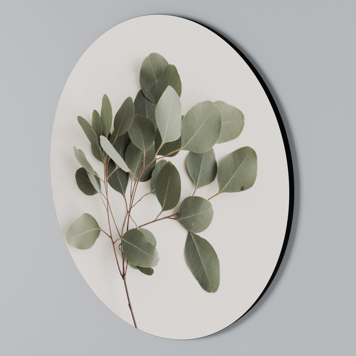 EUCALYPTUS BRANCH Rundes Wandbild