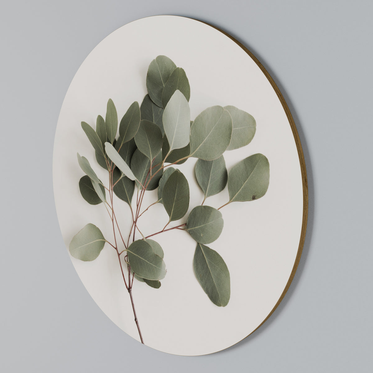EUCALYPTUS BRANCH Rundes Wandbild