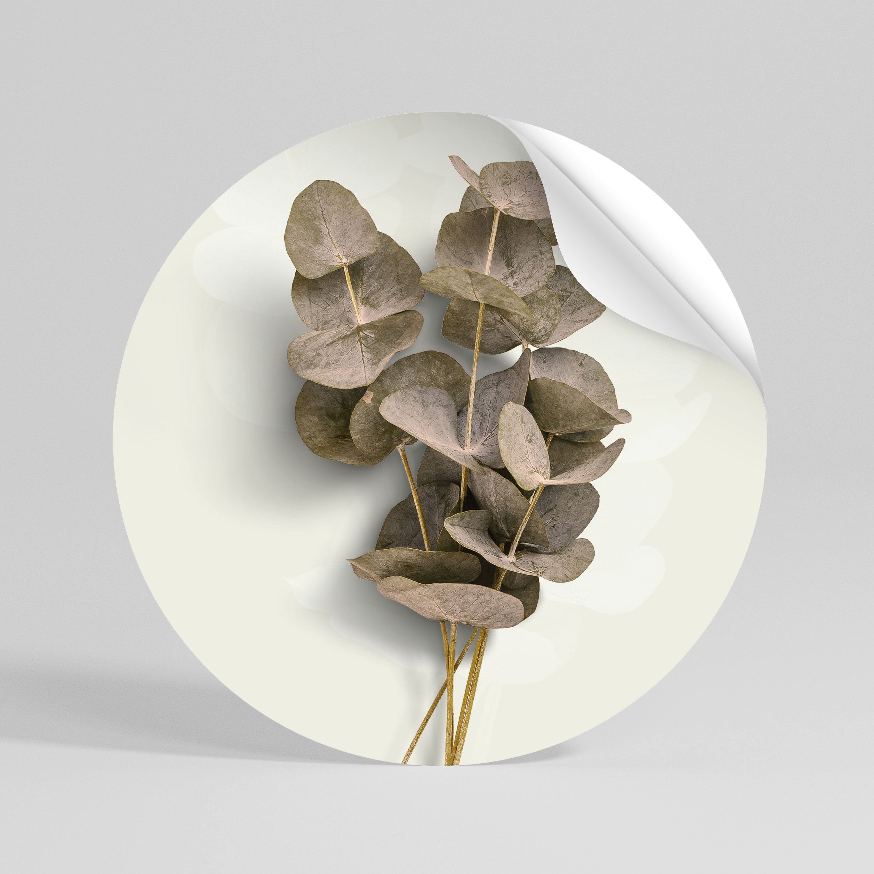 TIMELESS GREENERY Rund väggdekal