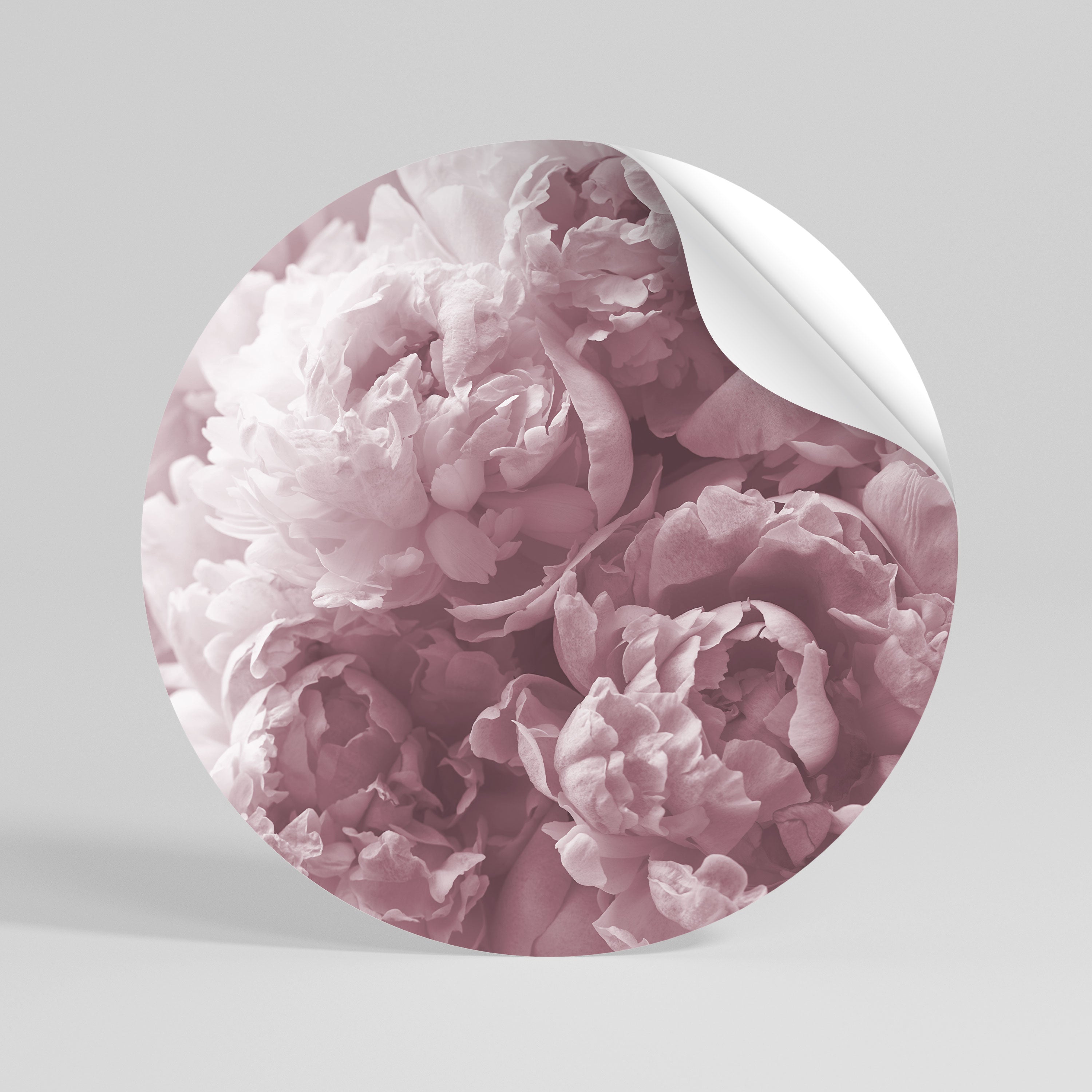 BLUSHED SERENITY Rund väggdekal