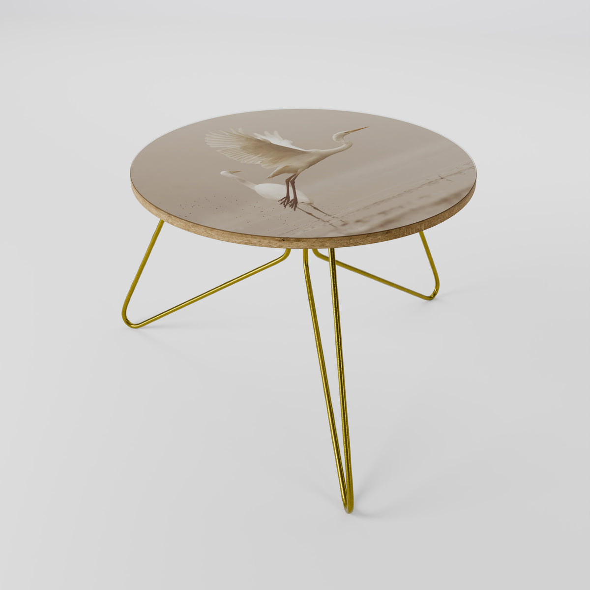 ELEGANT ASCENT Coffee Table