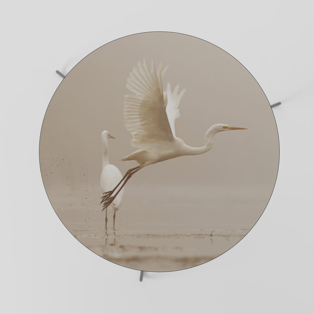 ELEGANT ASCENT Coffee Table