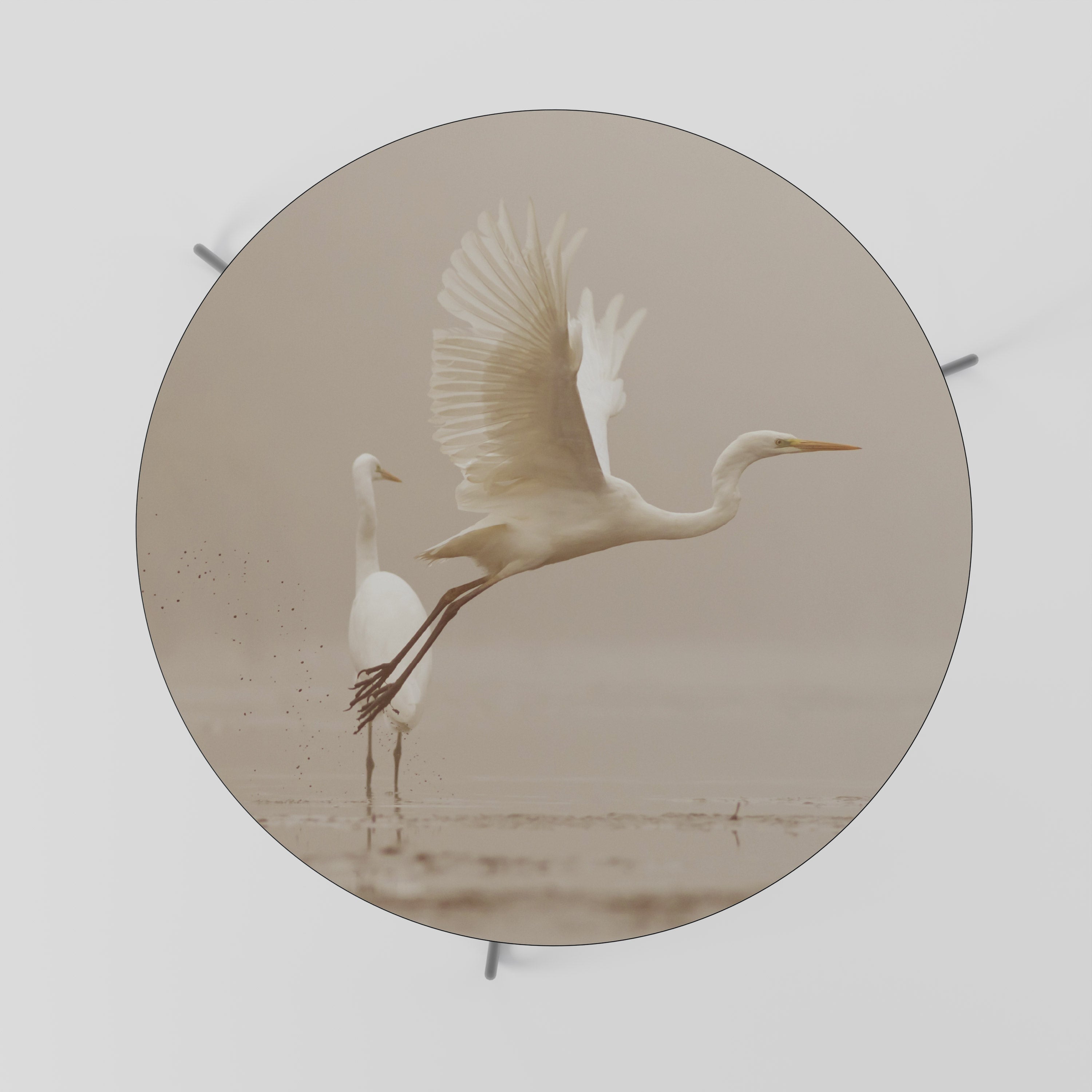 ELEGANT ASCENT Coffee Table