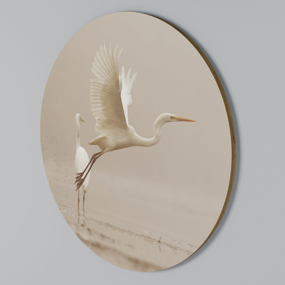 ELEGANT ASCENT Round Wall Art