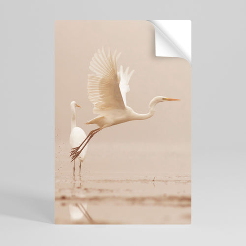 ELEGANT ASCENT Póster Autocolante Vertical