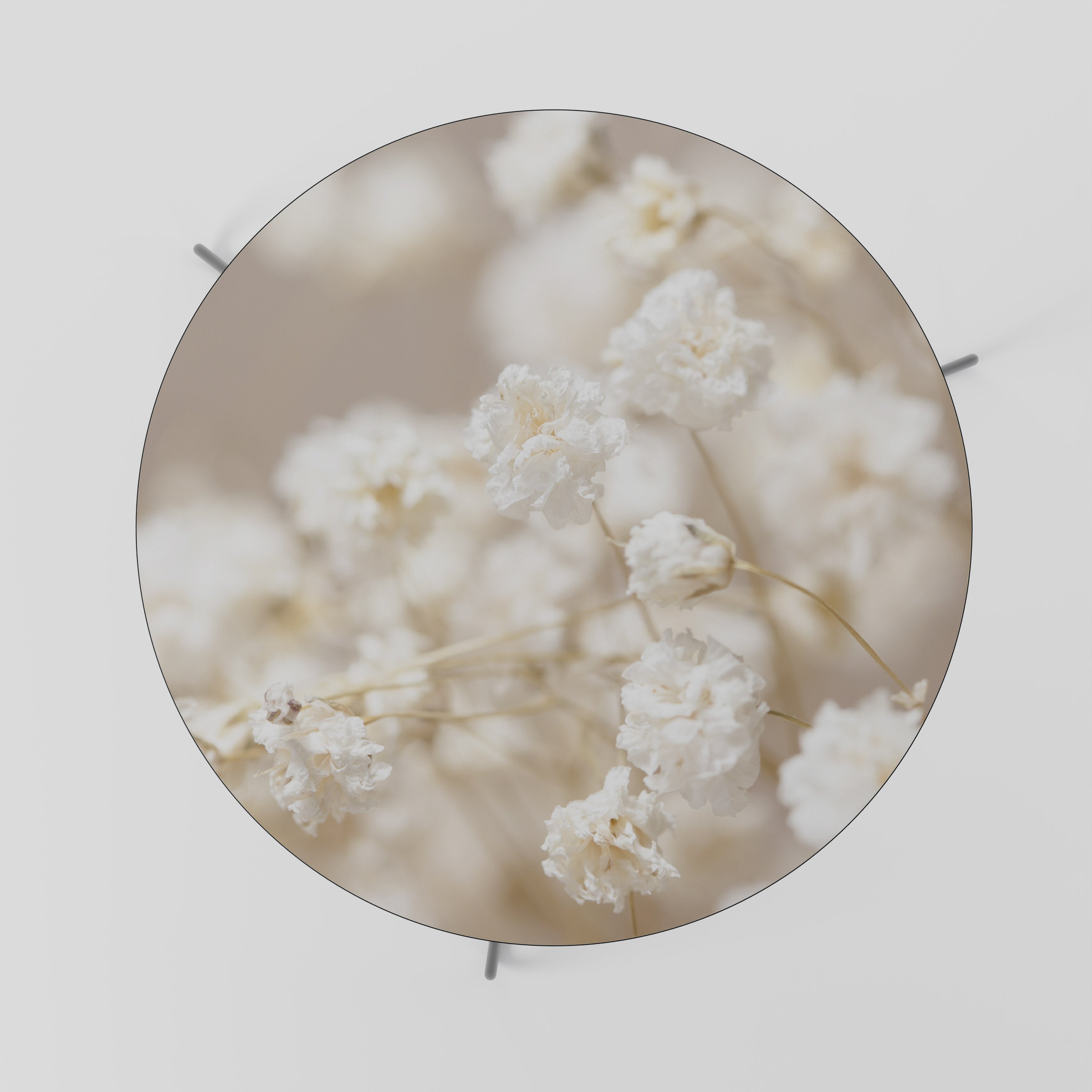 GHOSTLY BLOOM Couchtisch