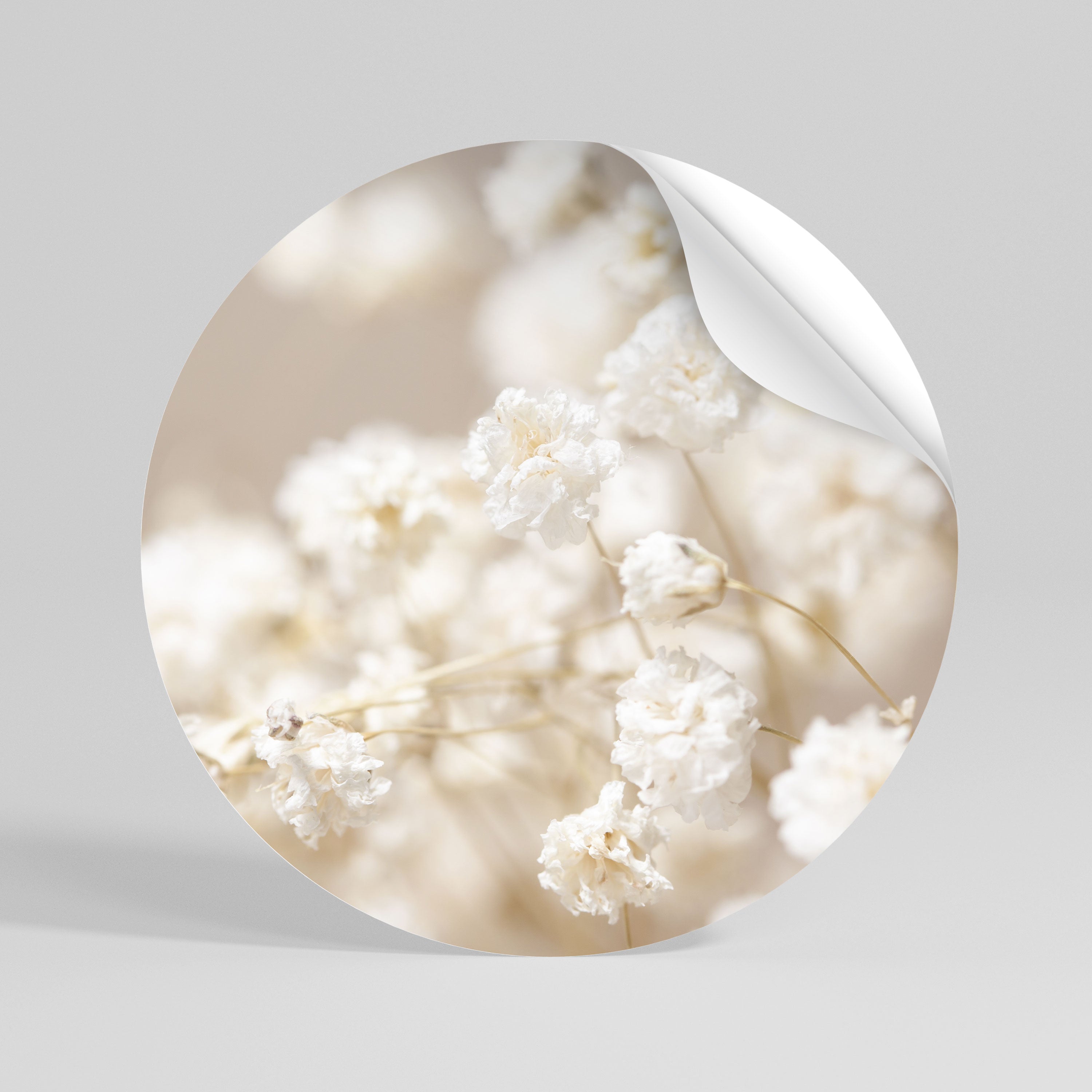 GHOSTLY BLOOM Rund väggdekal