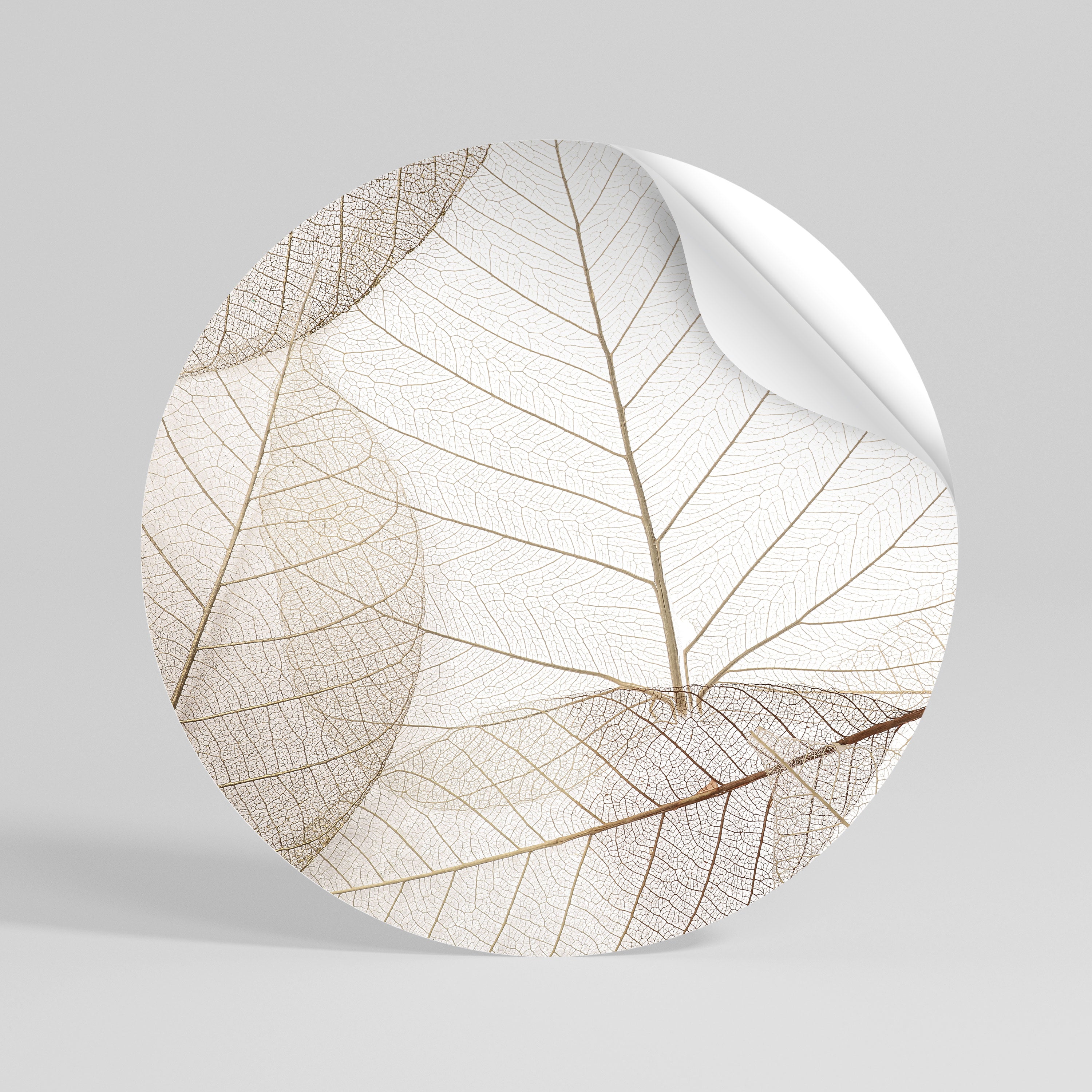 ETHEREAL VEINED GRACE Rund väggdekal