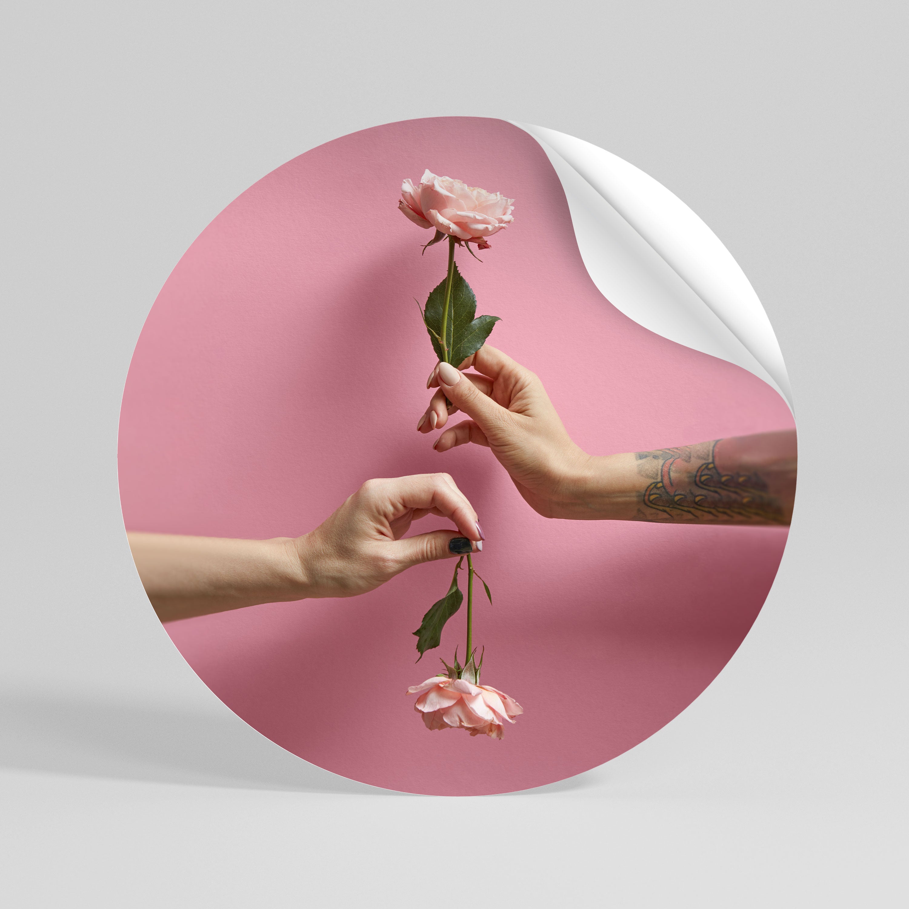 FLORAL CONNECTIONS Rund väggdekal