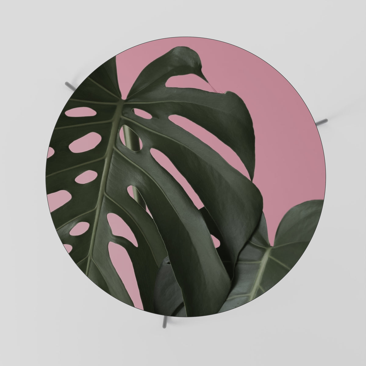 LADY MONSTERA Couchtisch