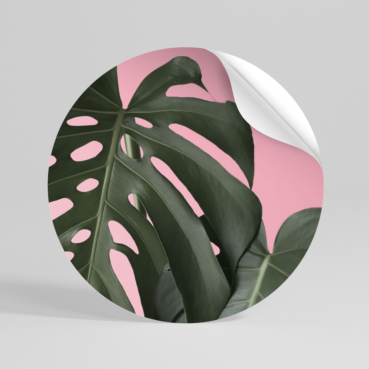 LADY MONSTERA Autocolante Redondo Removível