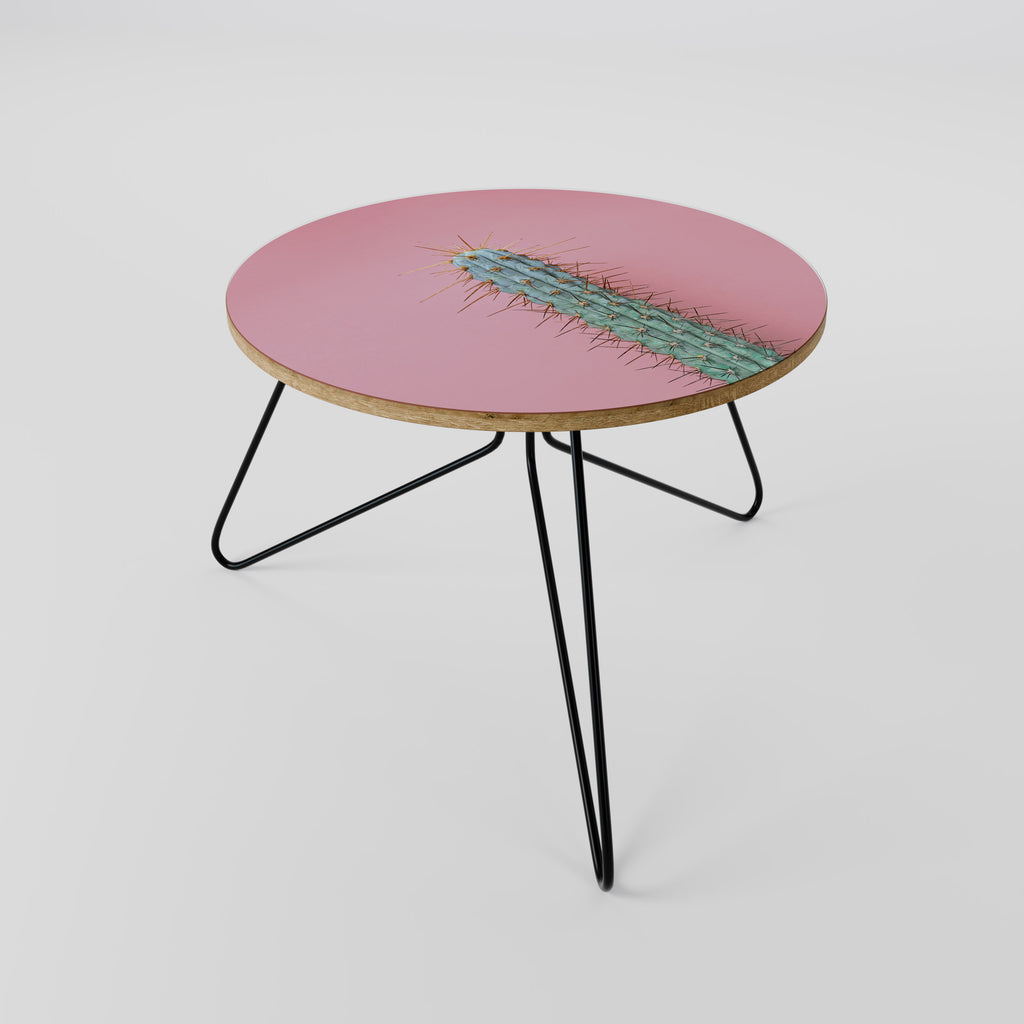 MISTER CACTUS Couchtisch