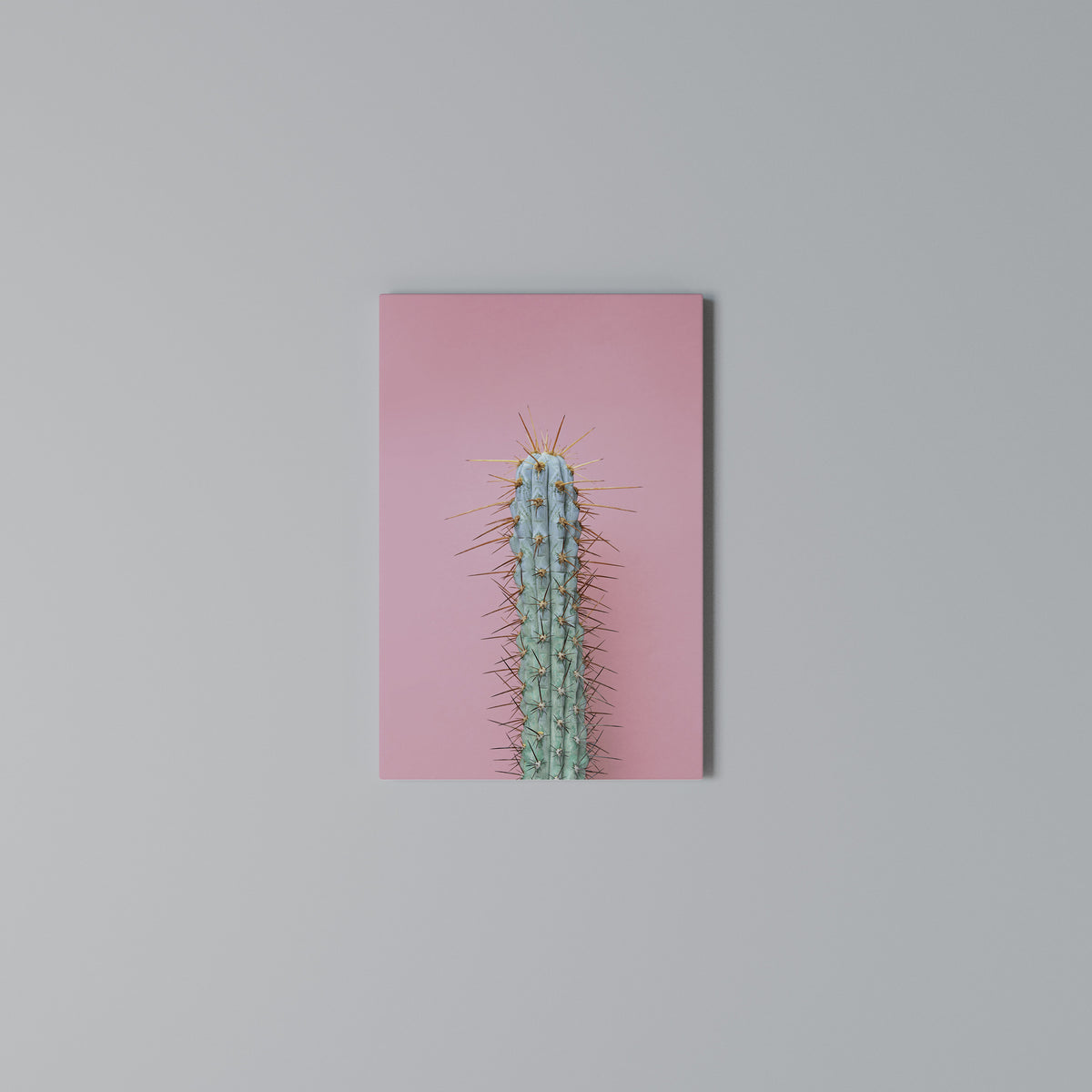 MISTER CACTUS Vertical Canvas Print