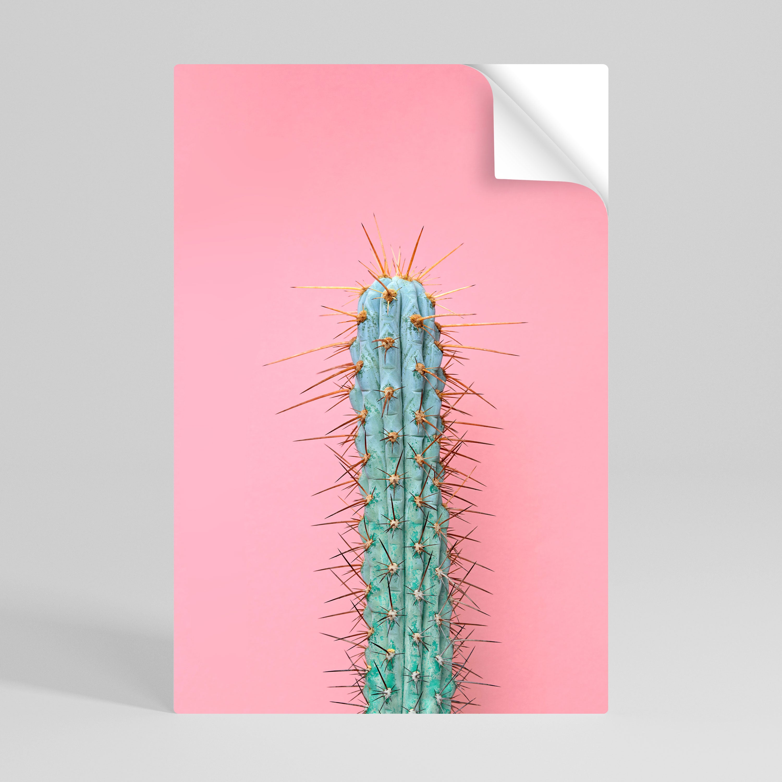 MISTER CACTUS Póster Autocolante Vertical