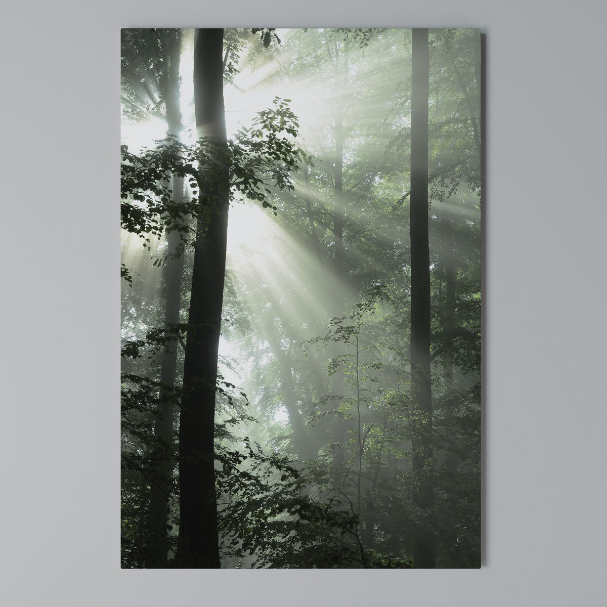 MYSTICAL SUNBEAMS Cuadro en lienzo vertical