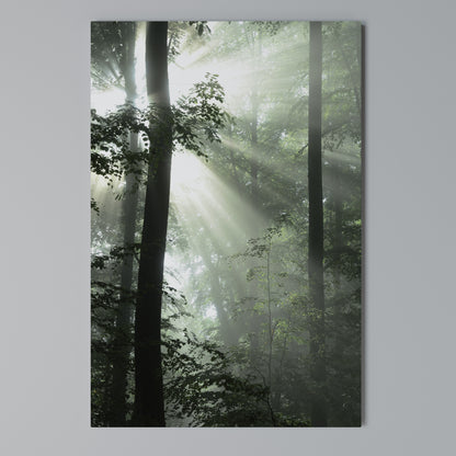 MYSTICAL SUNBEAMS Cuadro en lienzo vertical