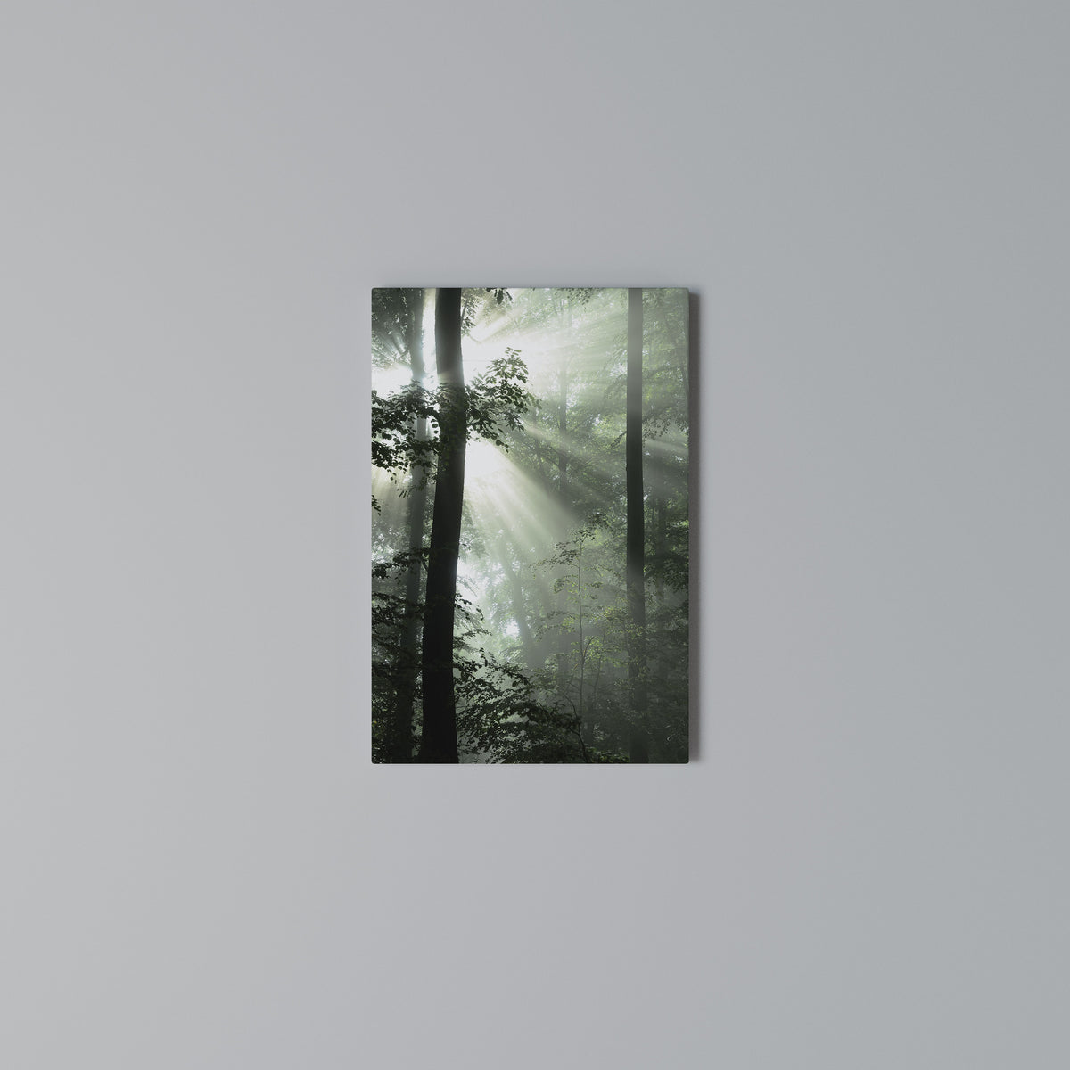 MYSTICAL SUNBEAMS Vertical Canvas Print