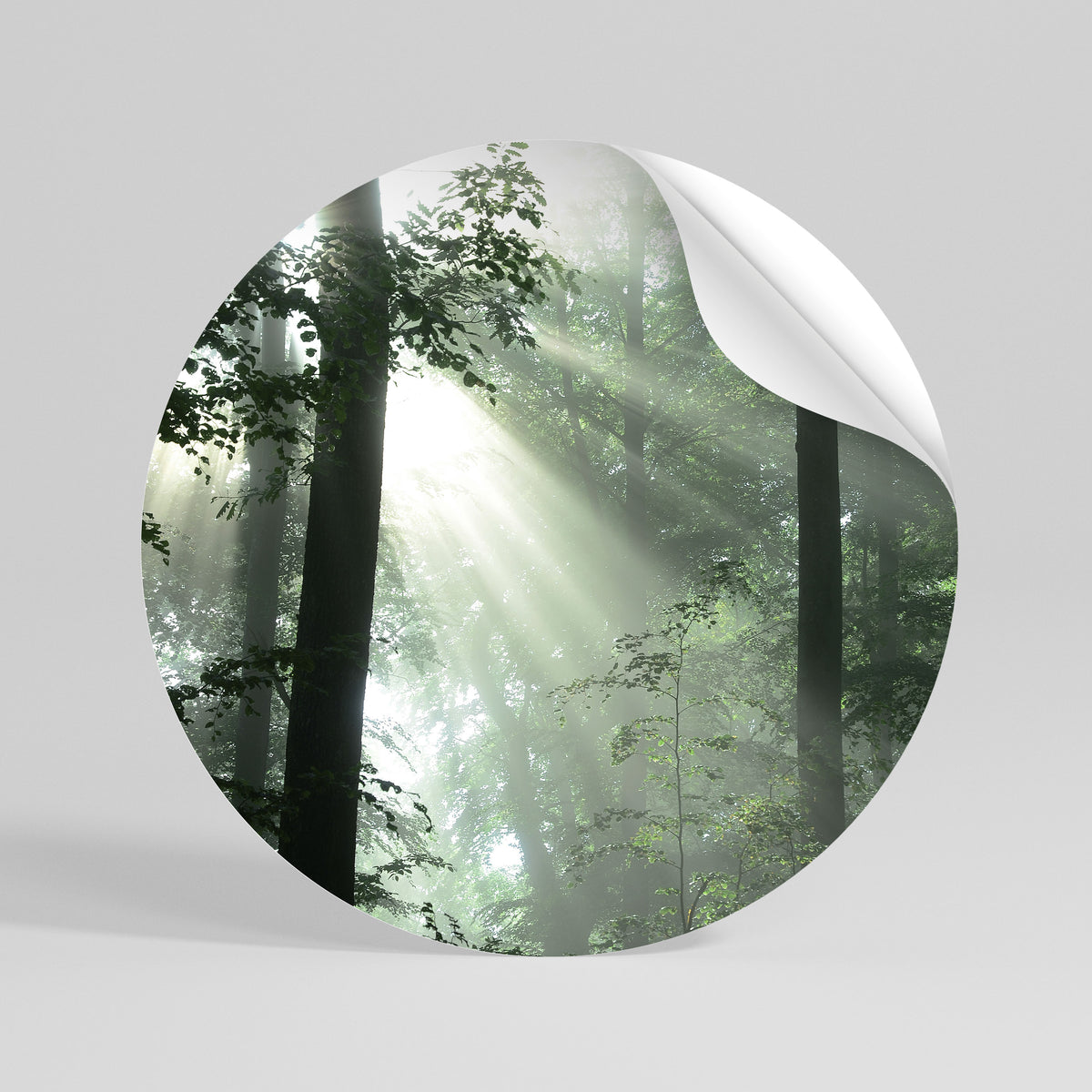 MYSTICAL SUNBEAMS Runder Wandsticker zum Abziehen und Aufkleben