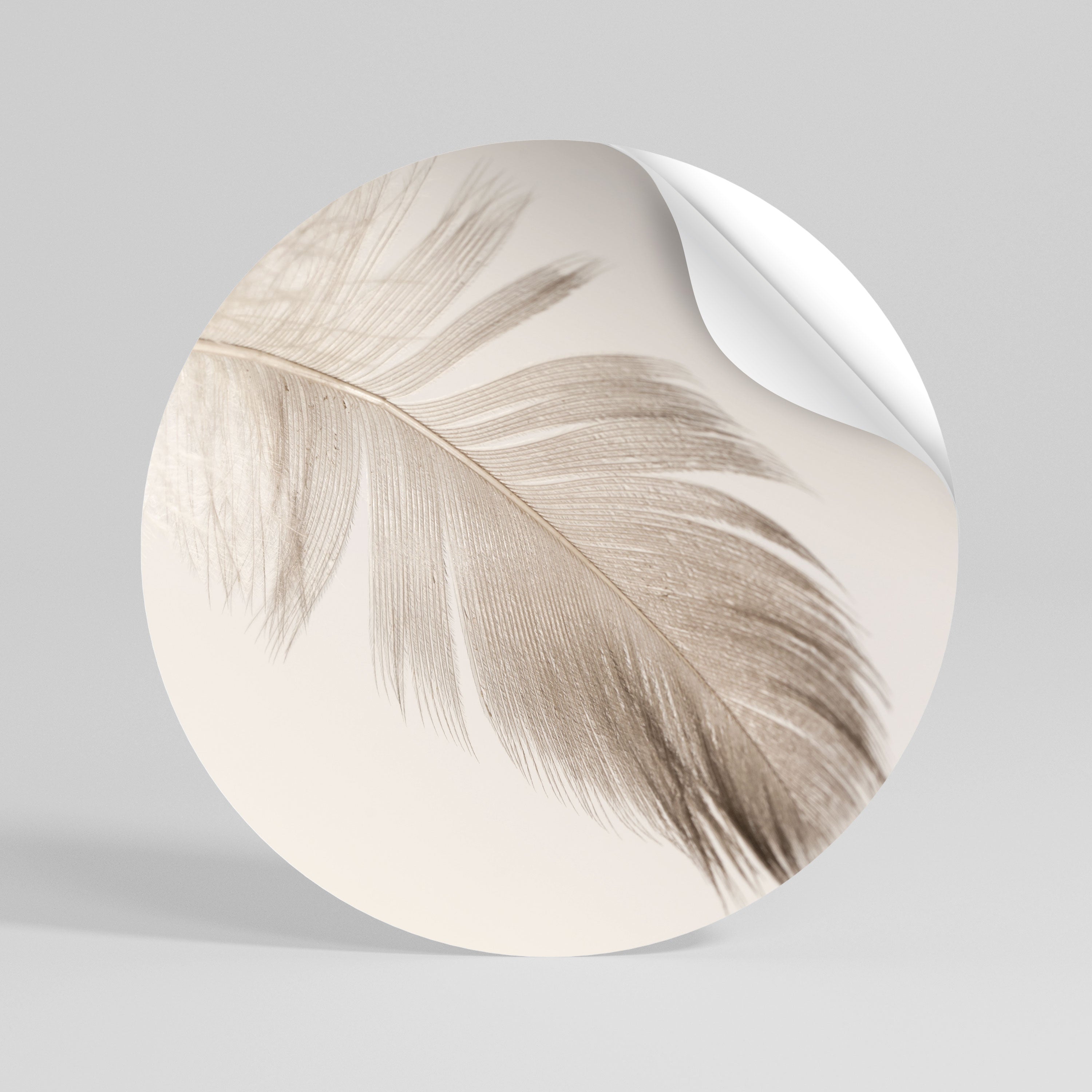 GRACEFULNESS PRECISION Rund väggdekal