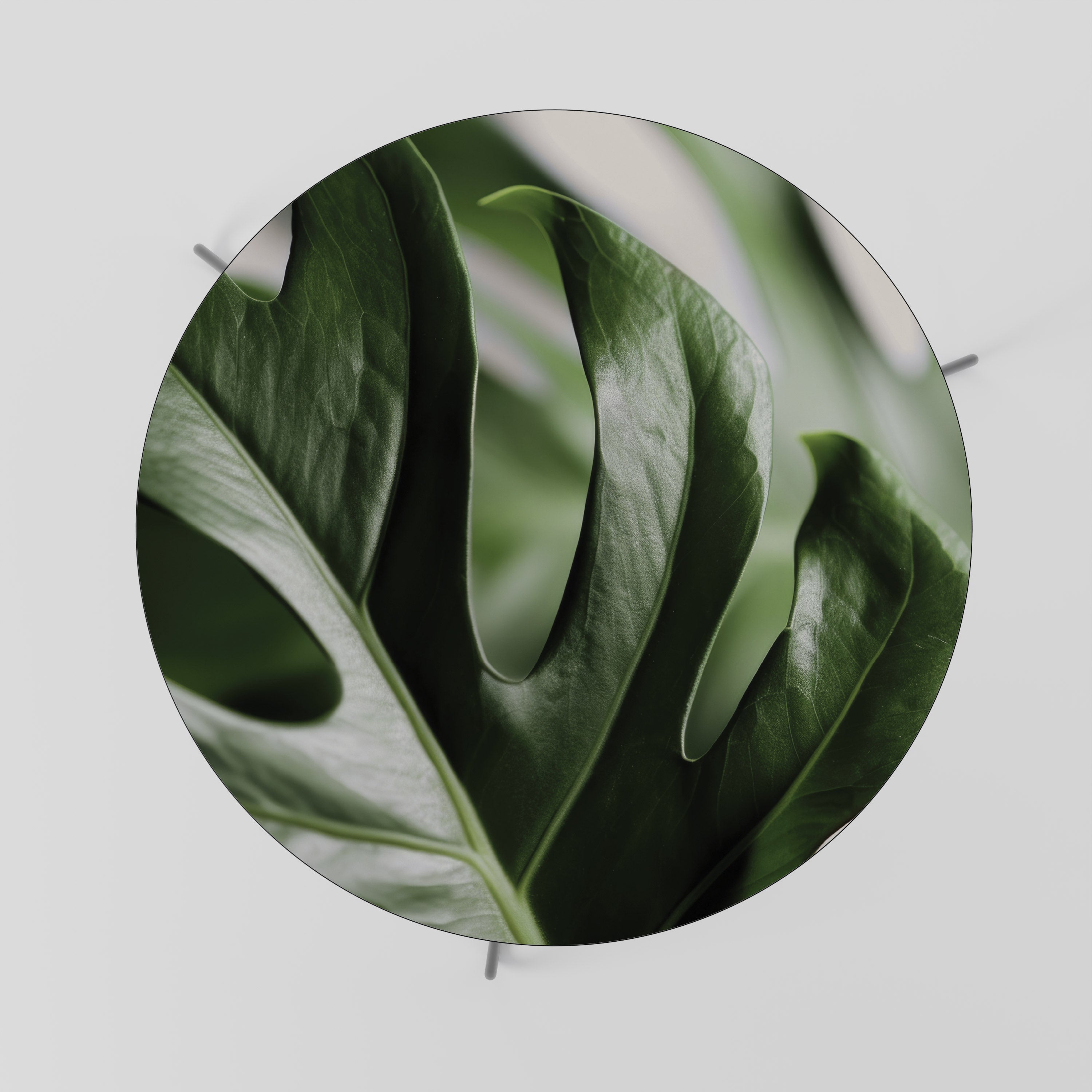 SHARP MONSTERA Coffee Table