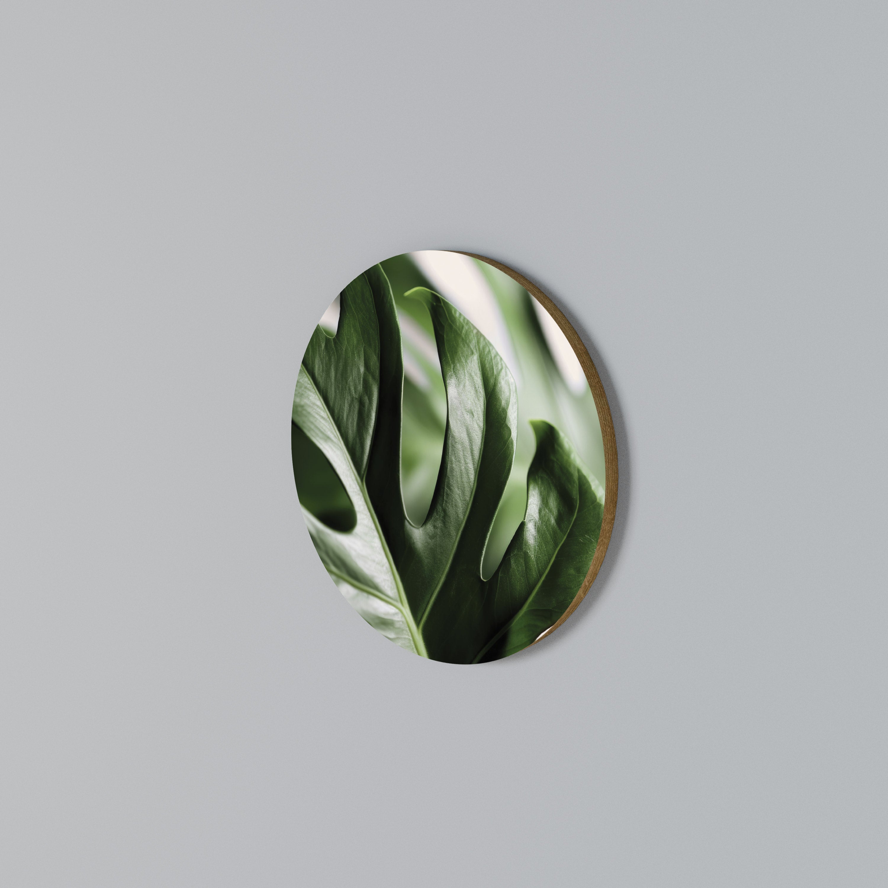 SHARP MONSTERA Arte de pared redondo