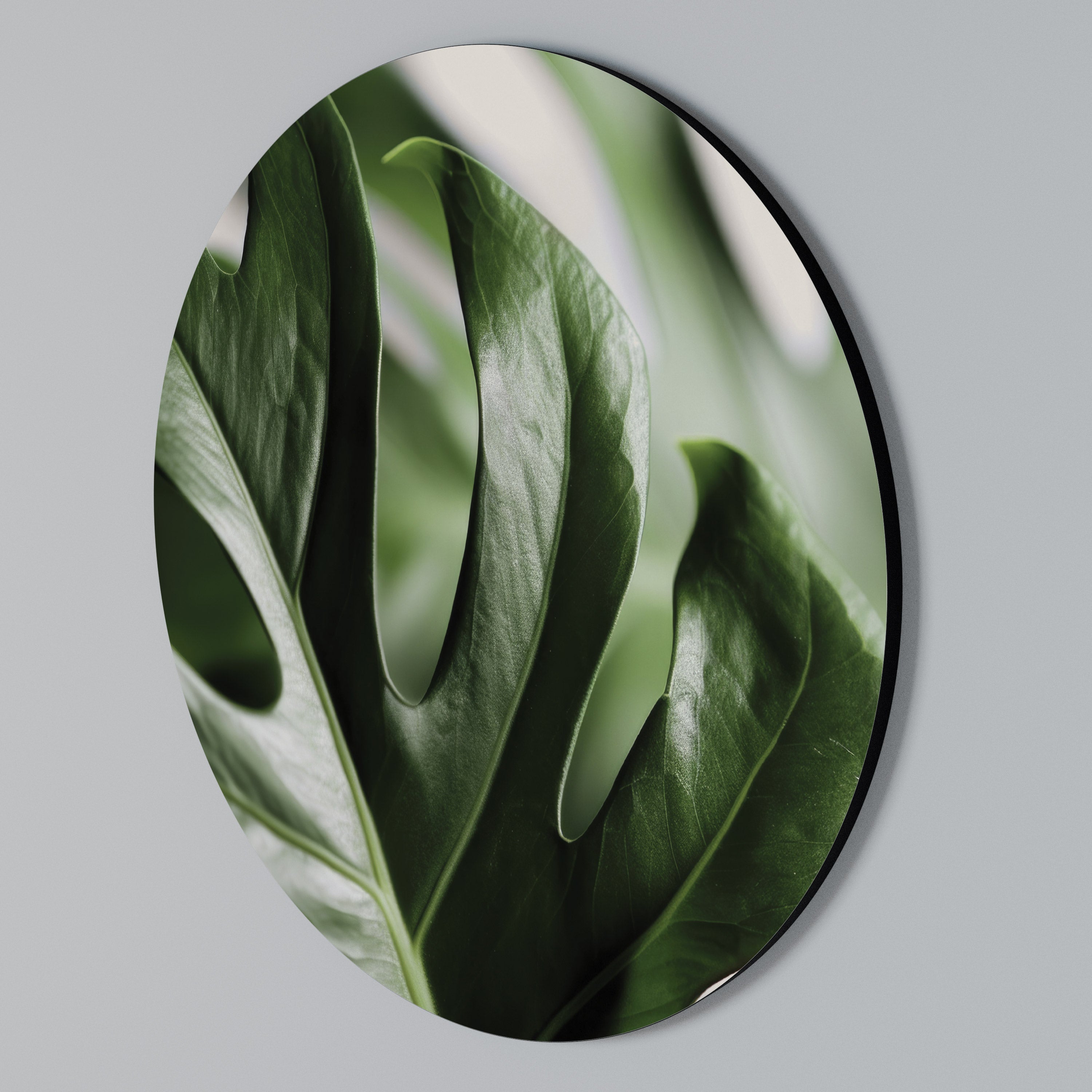 SHARP MONSTERA Arte de pared redondo