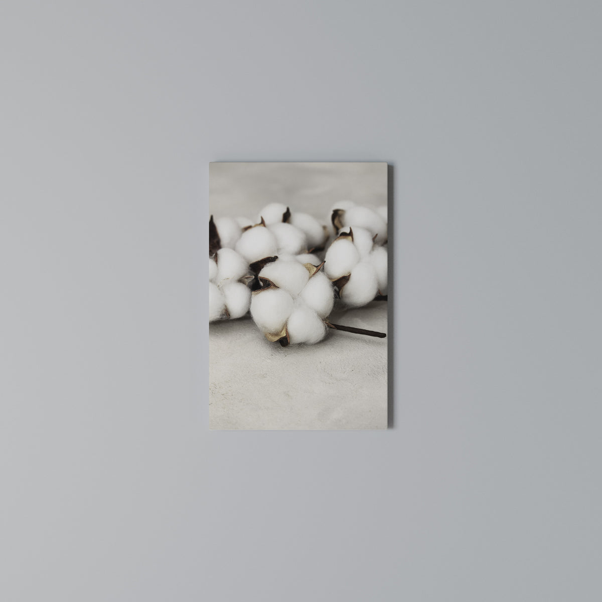 COTTON CLOUDS WHISPERS Κατακόρυφος Πίνακας σε Καμβά