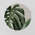 MONSTERA ACCURACY Coffee Table