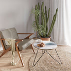 MYSTICAL MOVEMENT Coffee Table