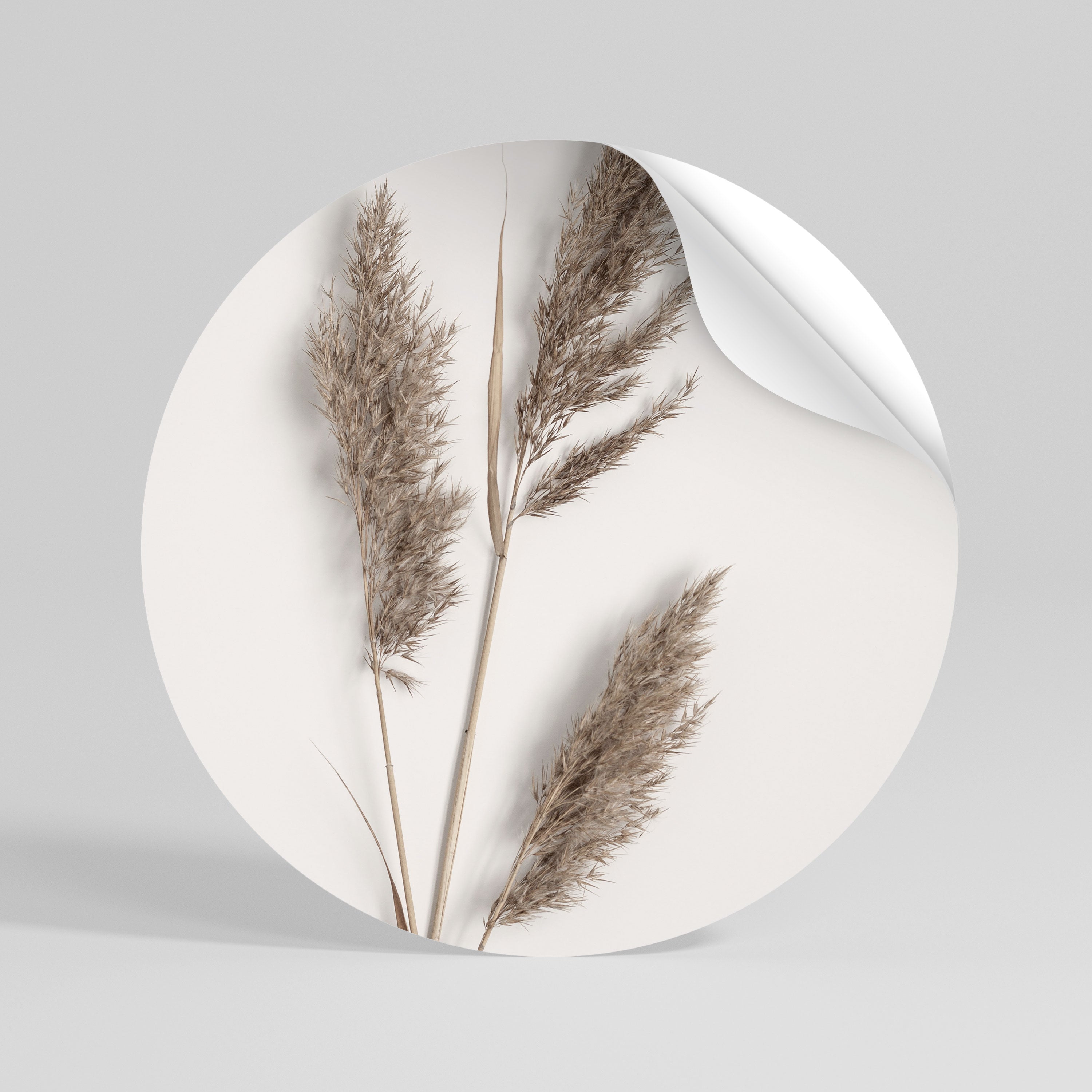 SOFT BREEZE MOMENT Rund väggdekal