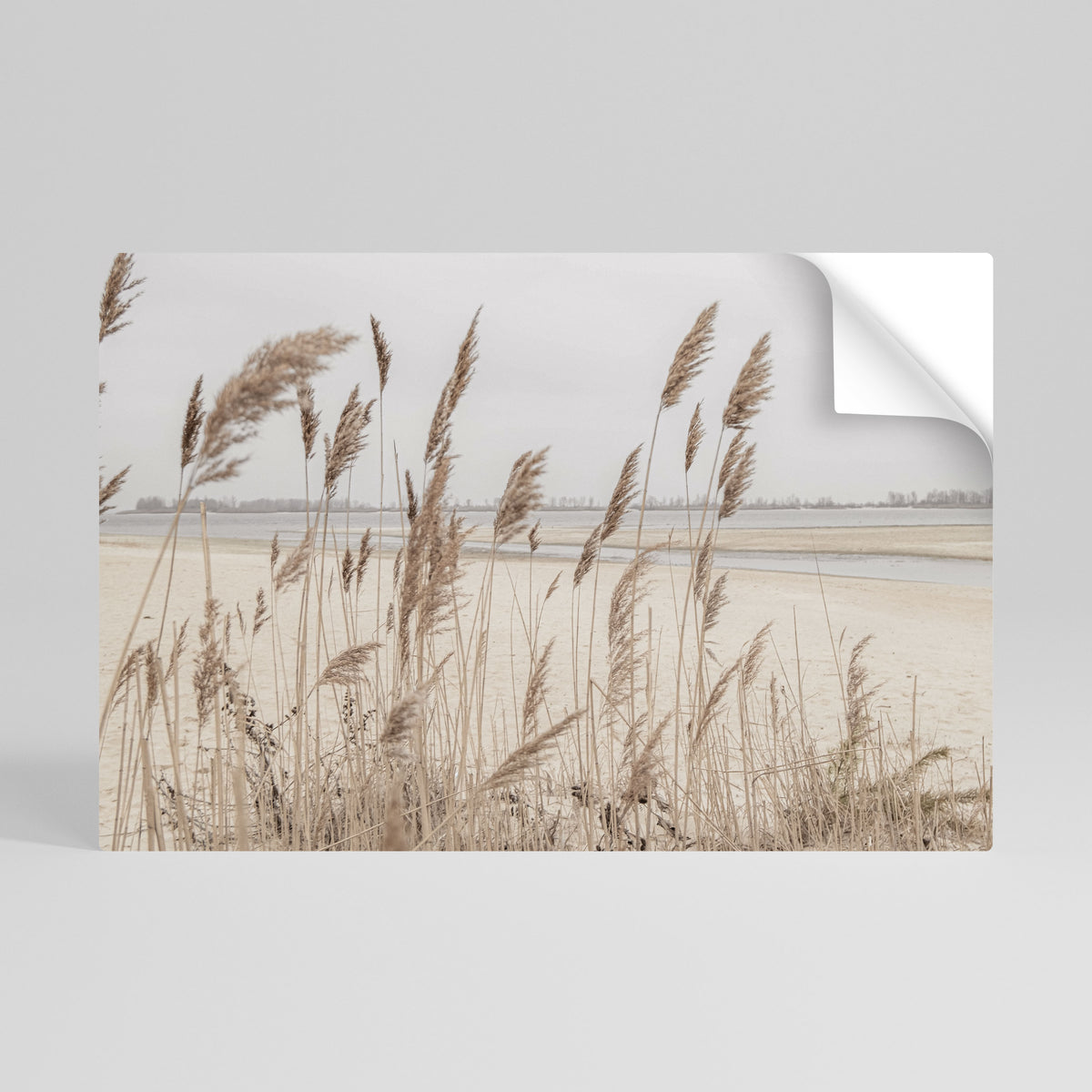 BREEZY STRAW HARMONY Poster Orizzontale Adesivo
