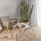 WHISPERS OF WHITE Coffee Table