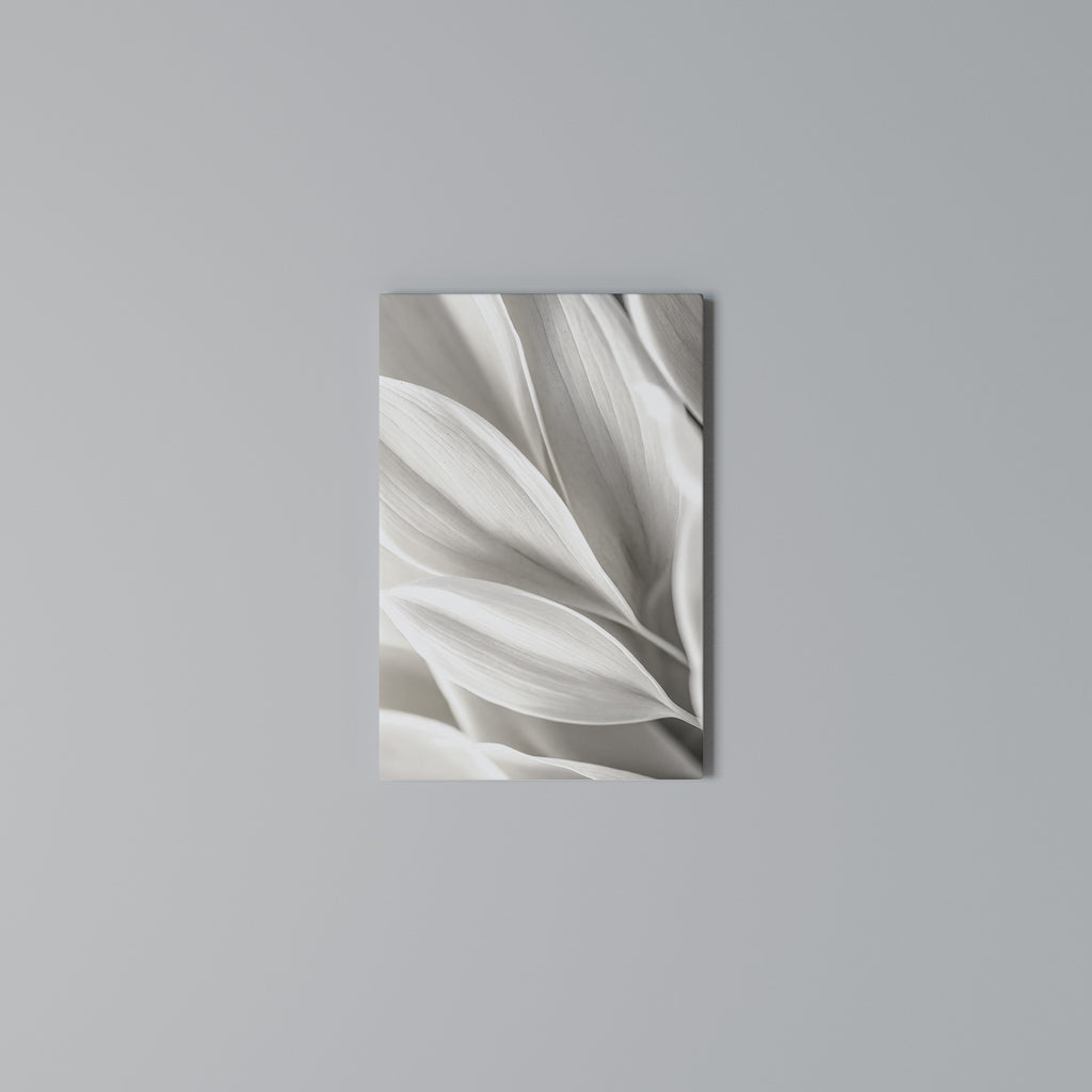 WHISPERS OF WHITE Cuadro en lienzo vertical