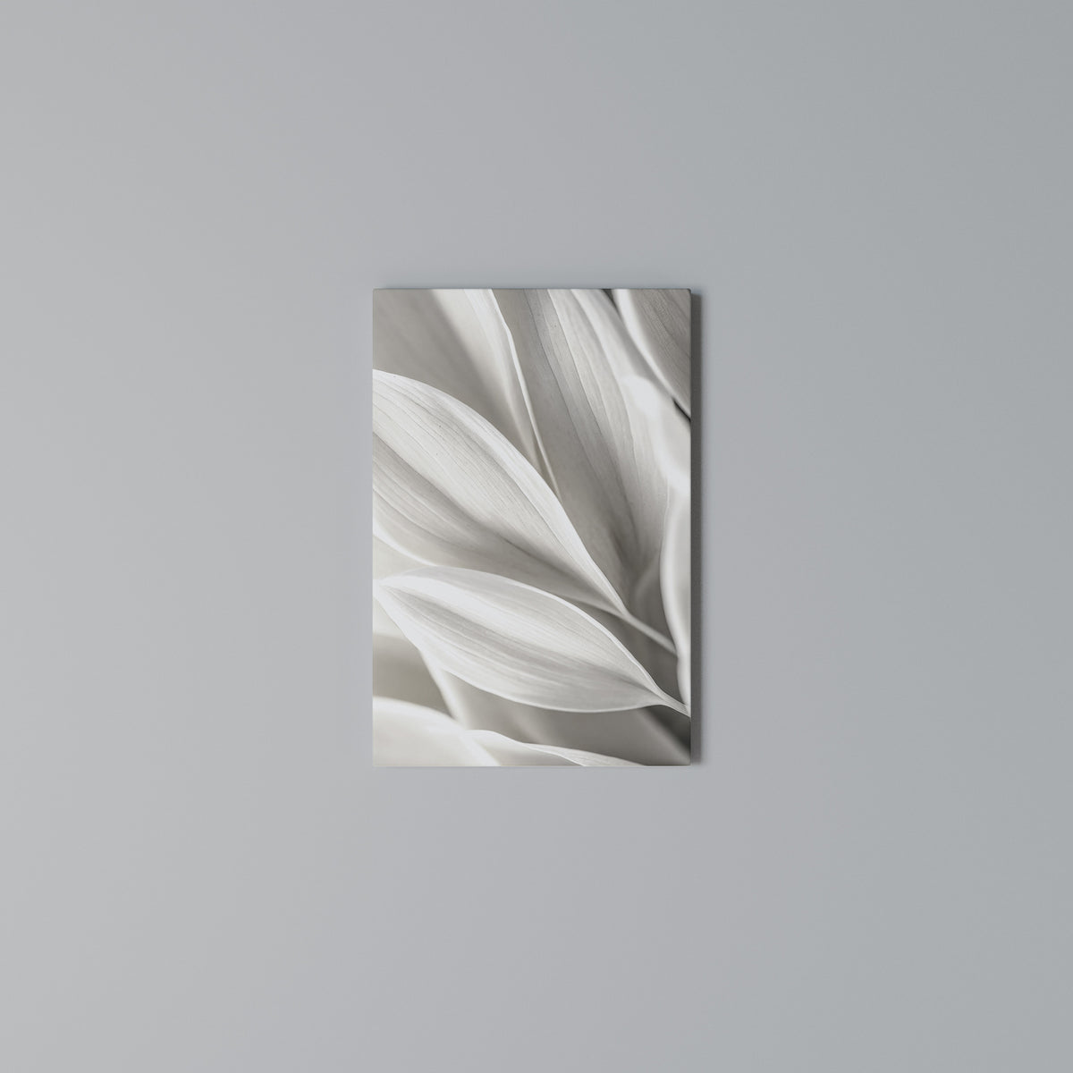 WHISPERS OF WHITE Cuadro en lienzo vertical