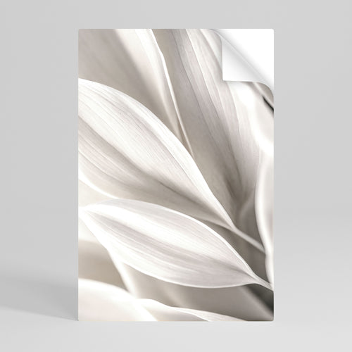 WHISPERS OF WHITE Póster adhesivo vertical