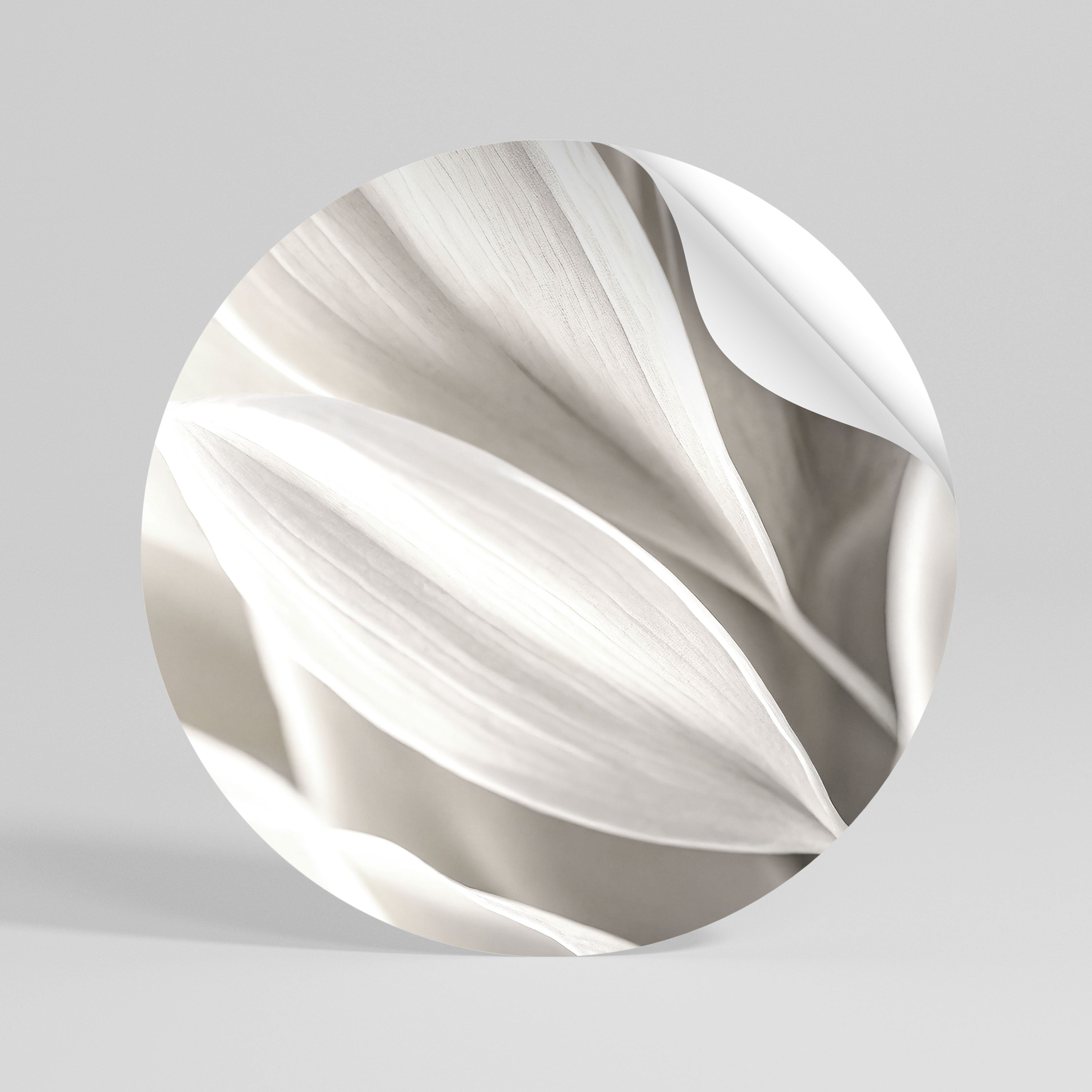 WHISPERS OF WHITE Rund väggdekal