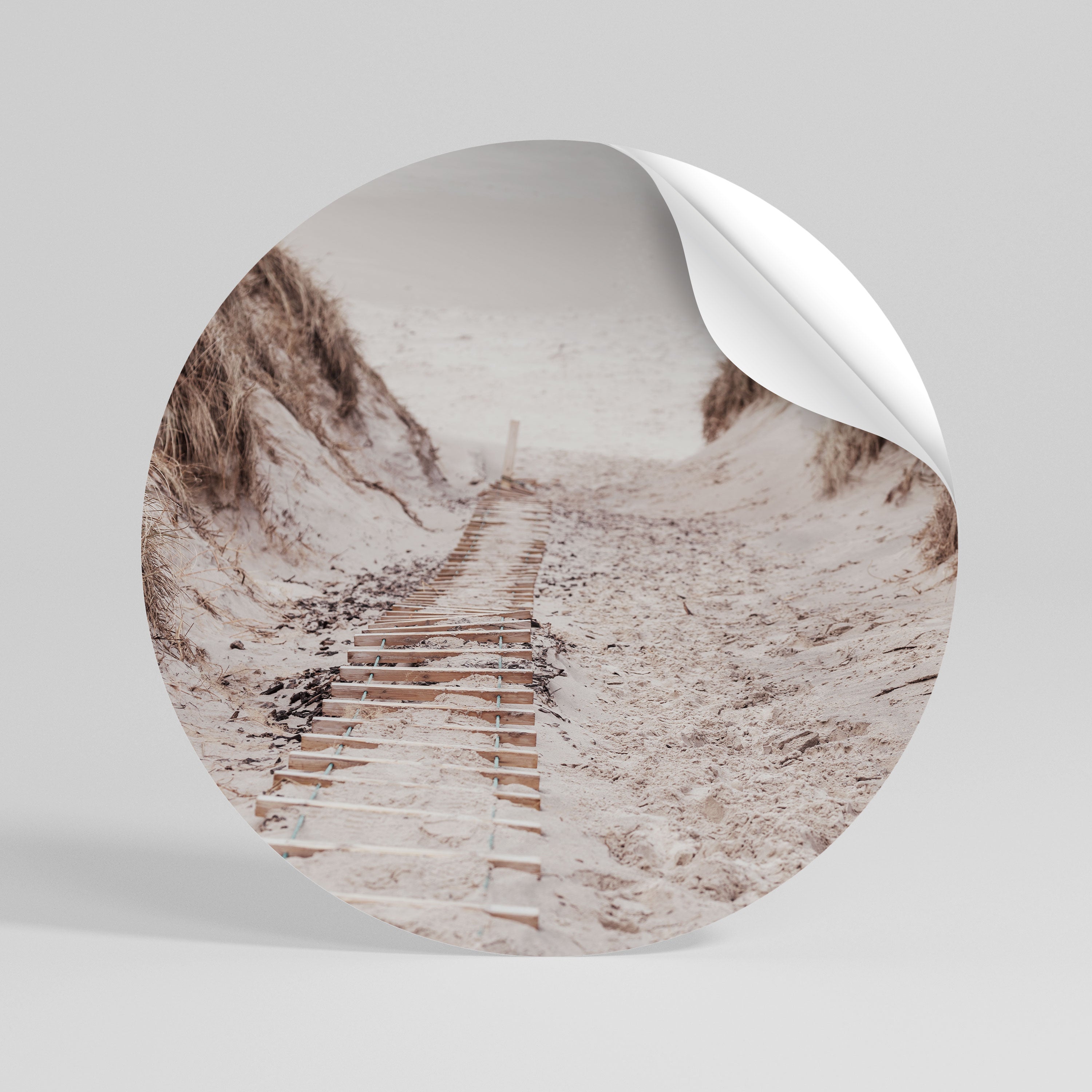 HIDDEN COASTLINE TREK Rund väggdekal