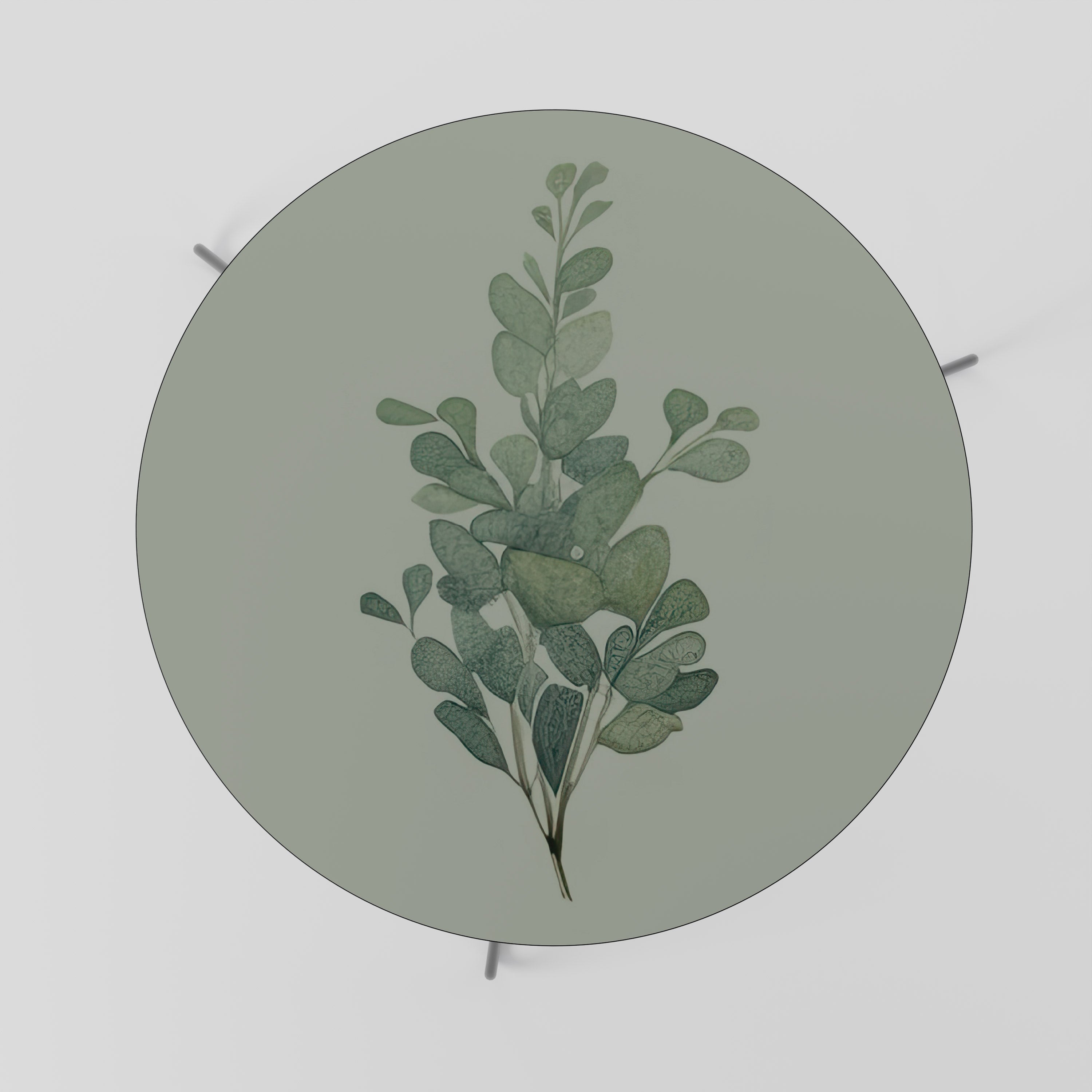 EUCALYPTUS TWIG Coffee Table