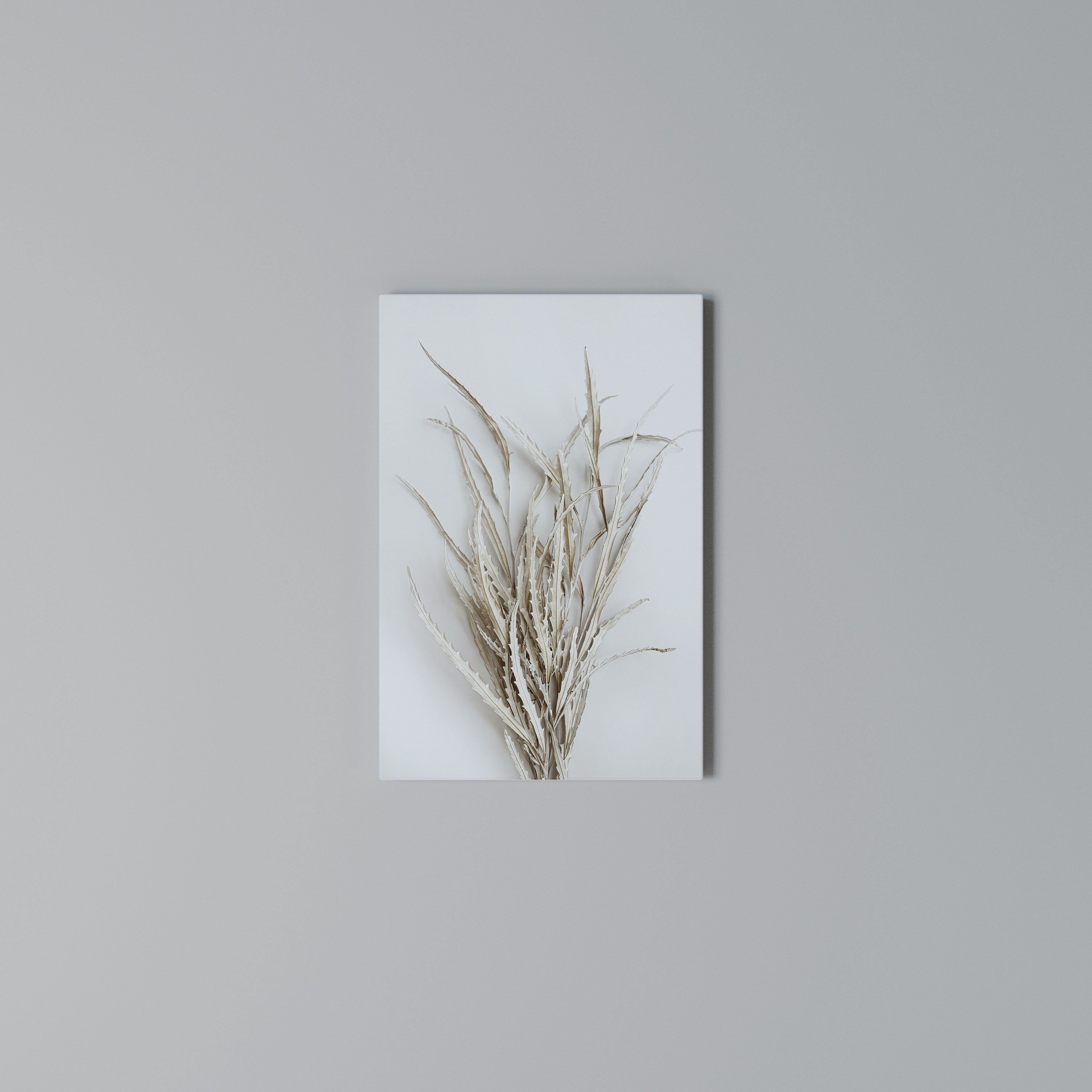 DRIED DREAMS DISPLAY Vertical Canvas Print