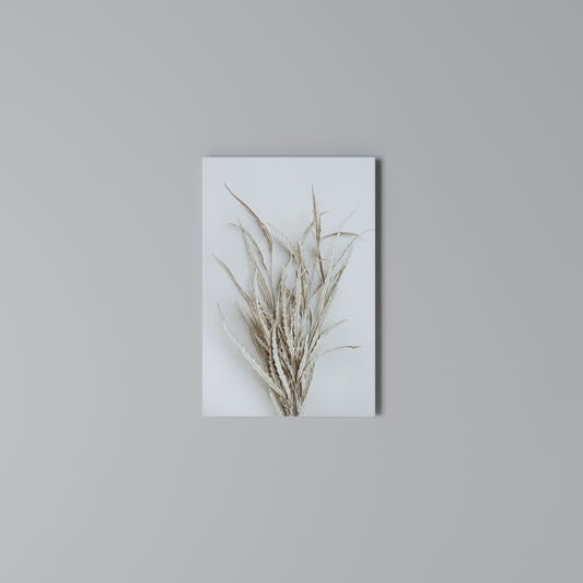 DRIED DREAMS DISPLAY Vertical Canvas Print