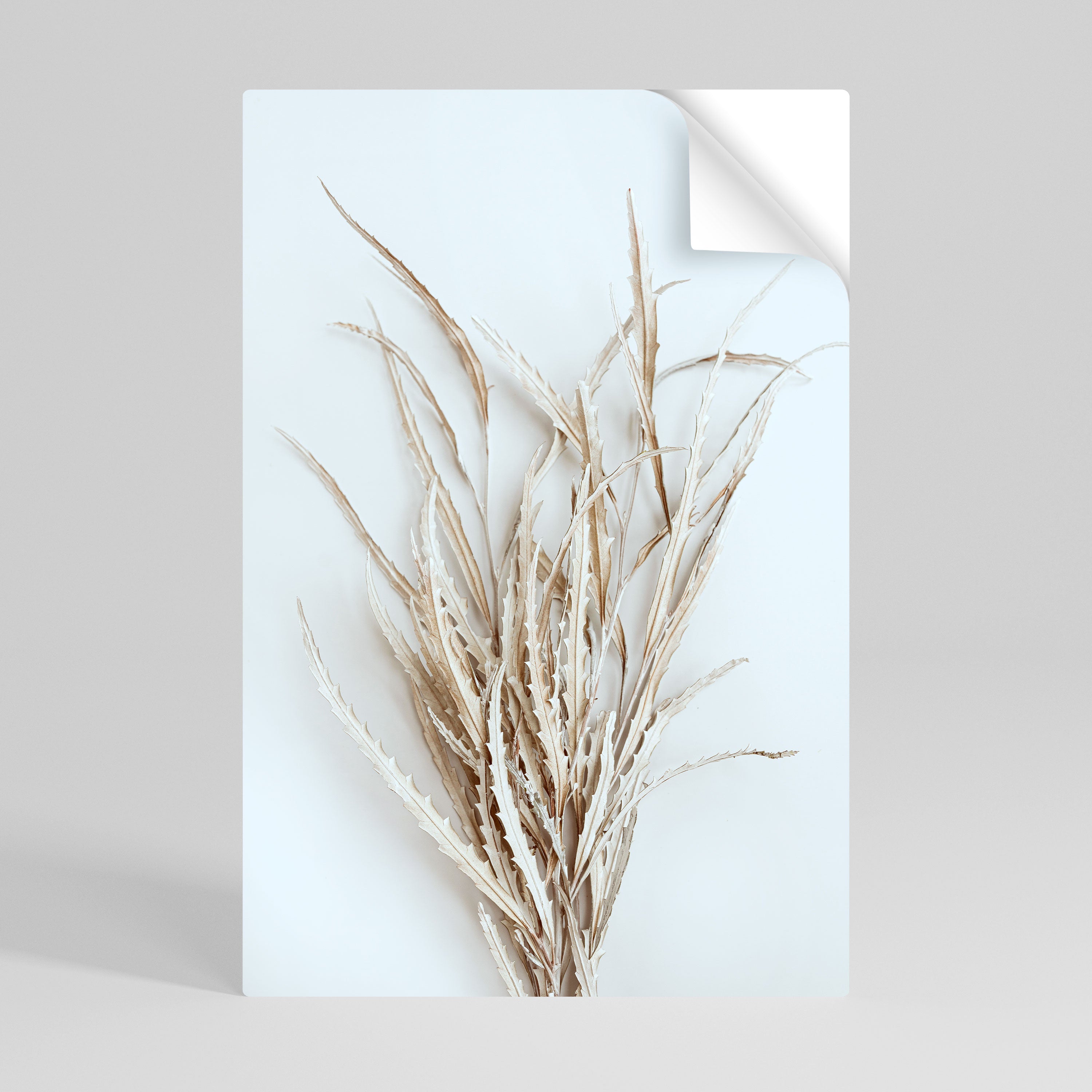 DRIED DREAMS DISPLAY Peel and Stick Vertical Poster