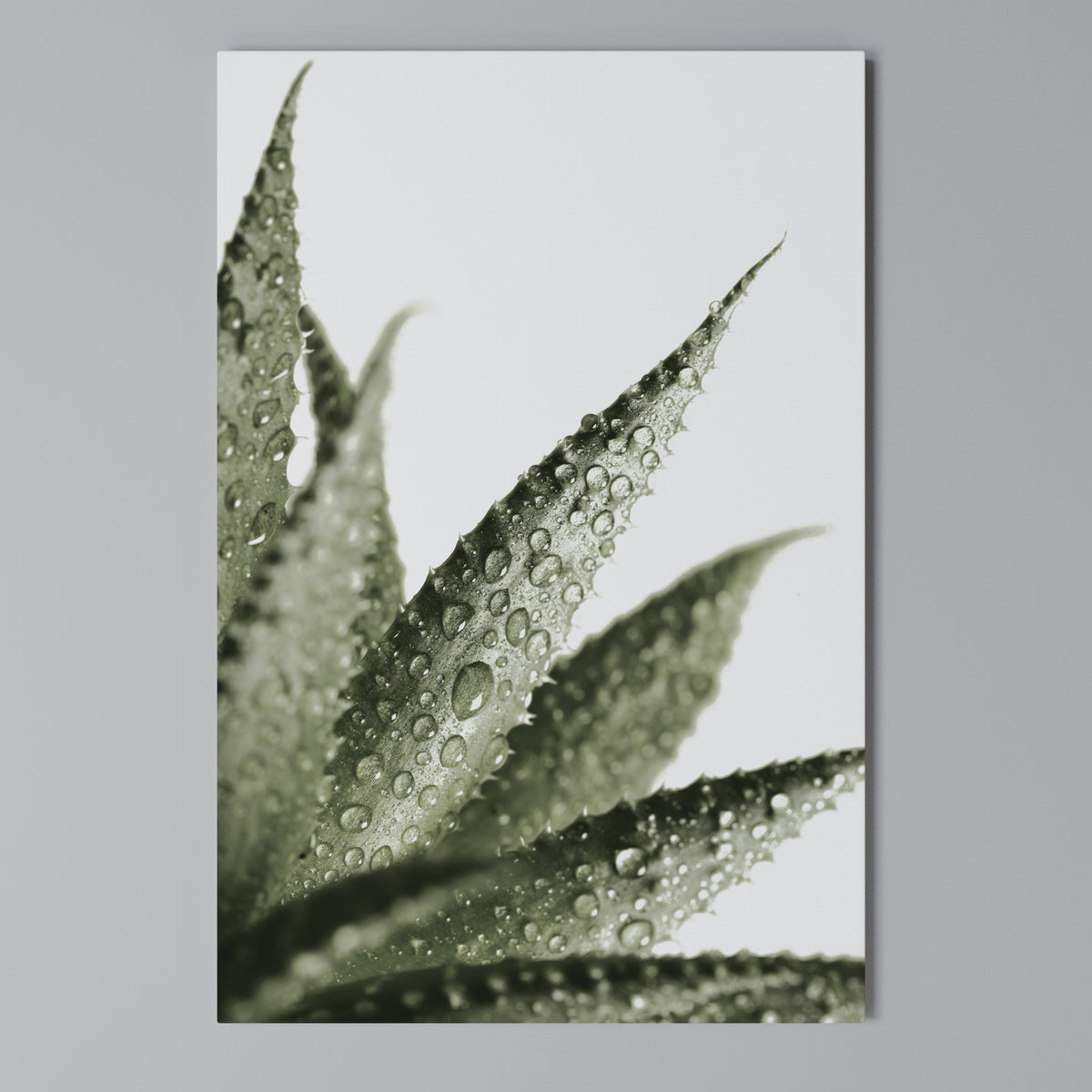 DEWDROP SYMPHONY Quadro em tela vertical