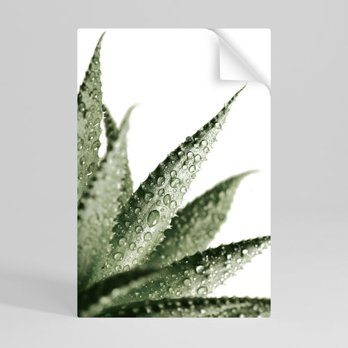 DEWDROP SYMPHONY Selbstklebendes Poster - Hochformat