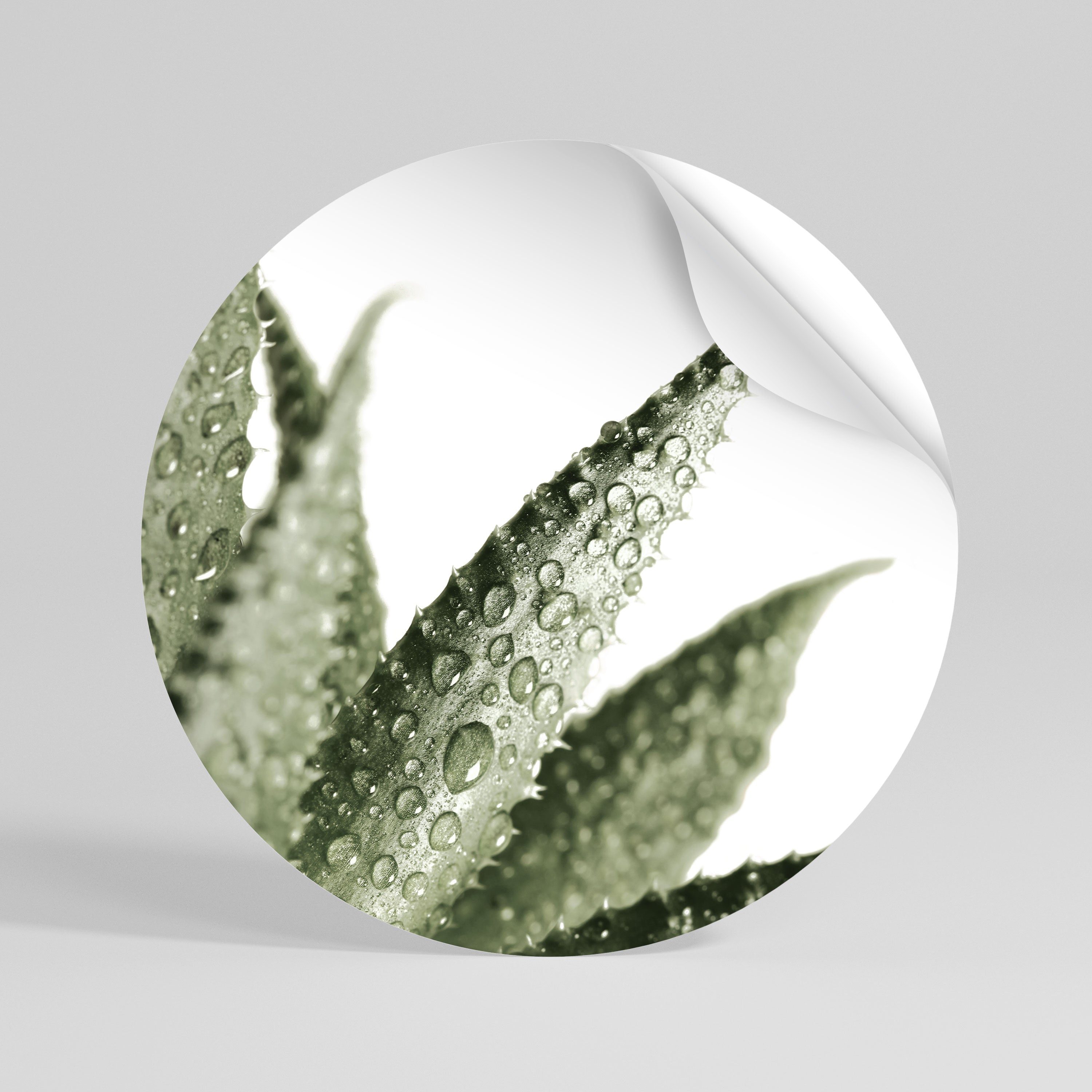 DEWDROP SYMPHONY Rund väggdekal