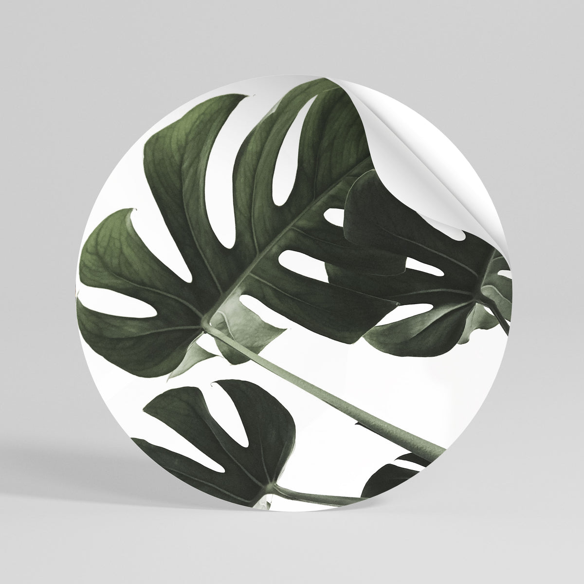 FOLIAGE FUSION Αυτοκόλλητη Αφίσα στρογγυλή