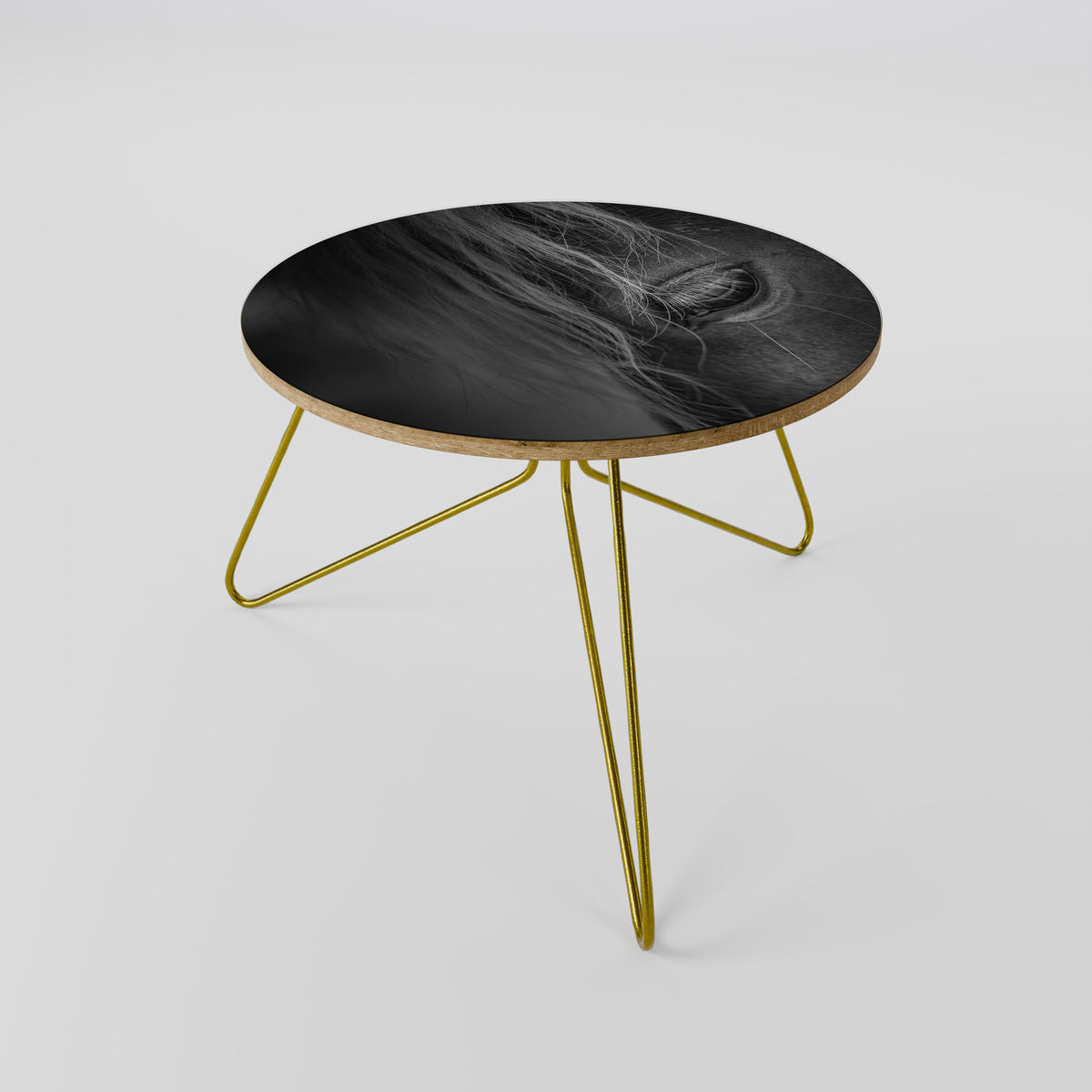 SILENT STRENGTH Coffee Table