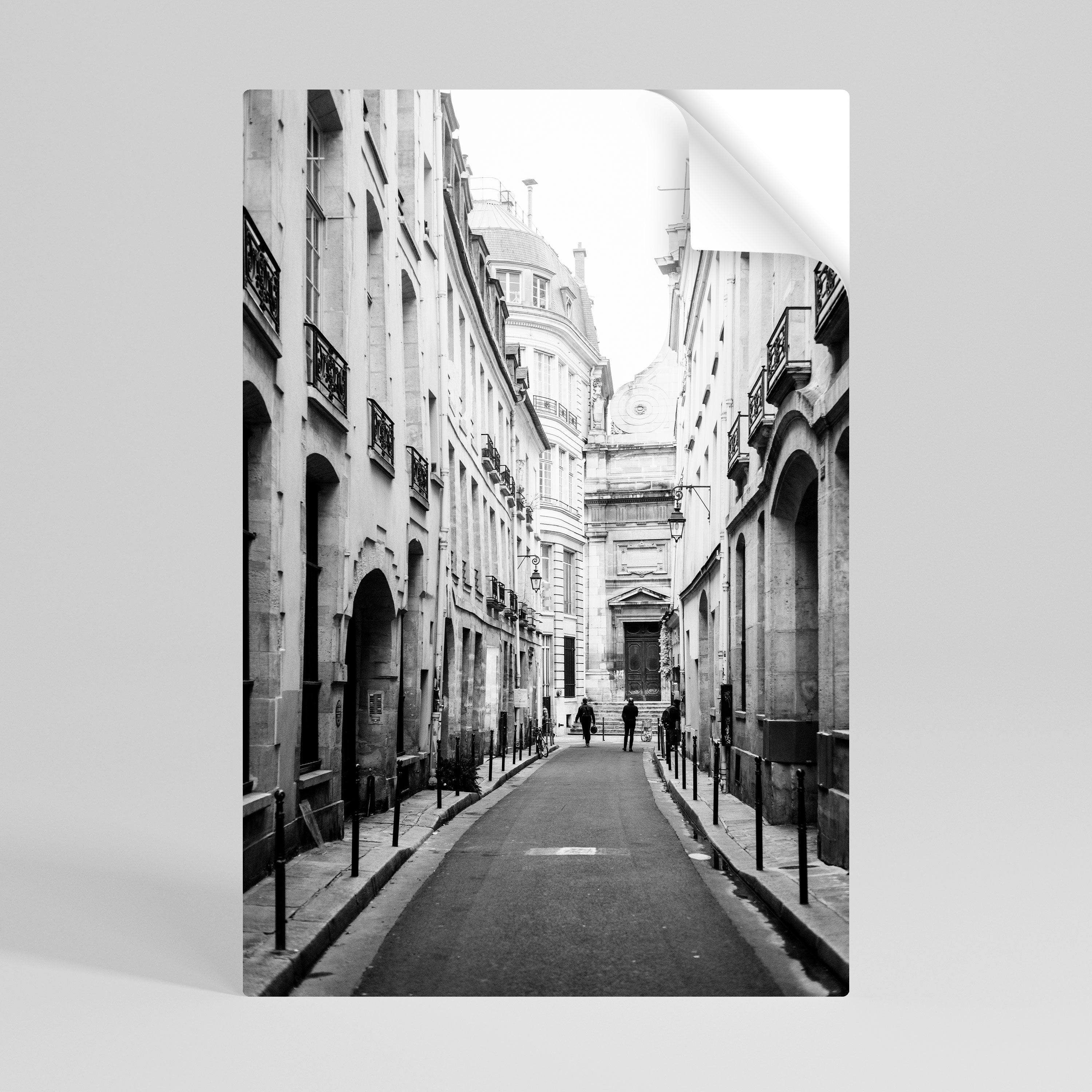 SECRET PATHWAYS UNVEILED Självhäftande Vertikal Poster