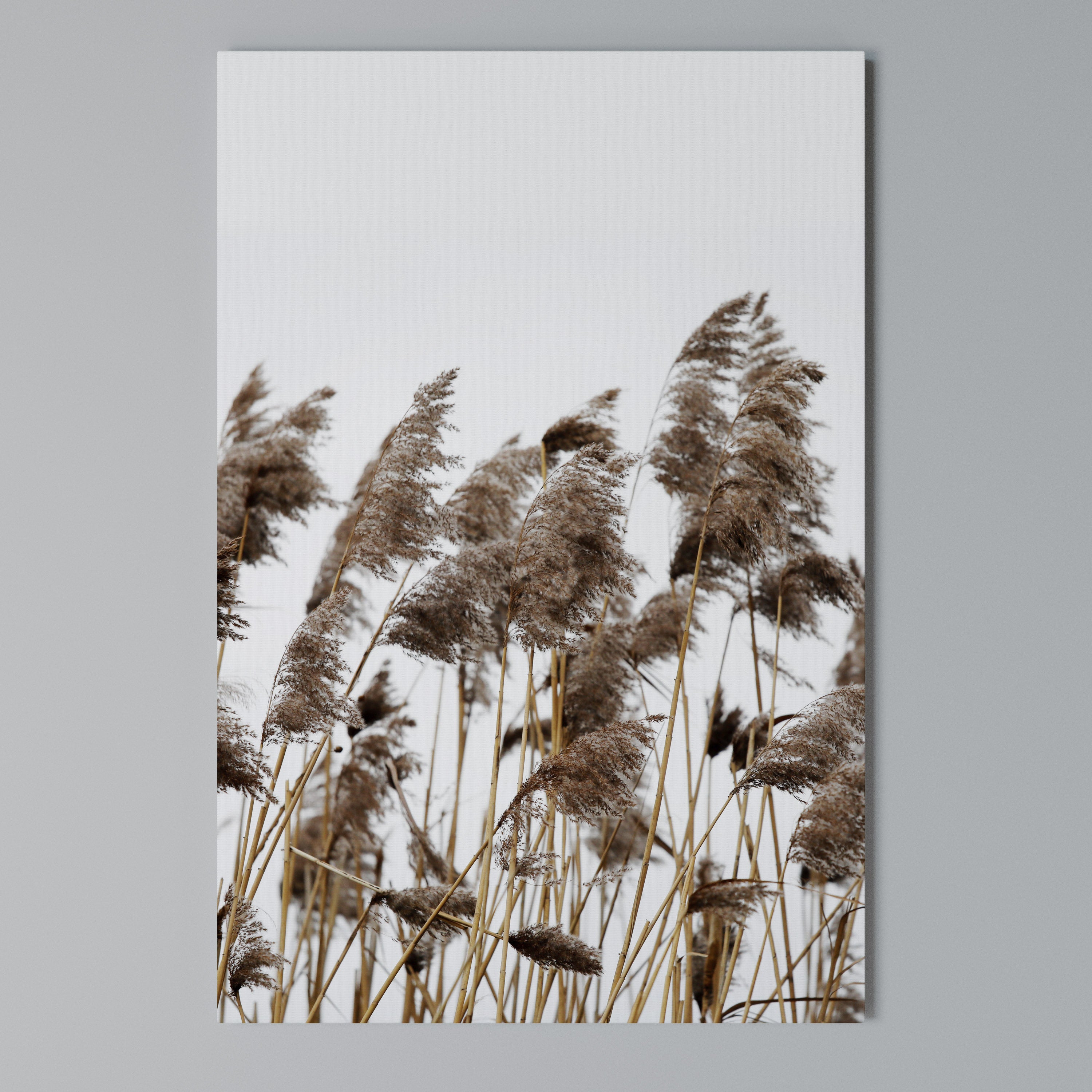 DANCE OF REEDS Vertical Canvas Print