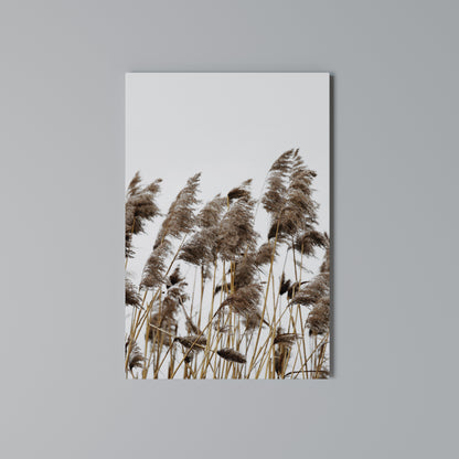 DANCE OF REEDS Cuadro en lienzo vertical